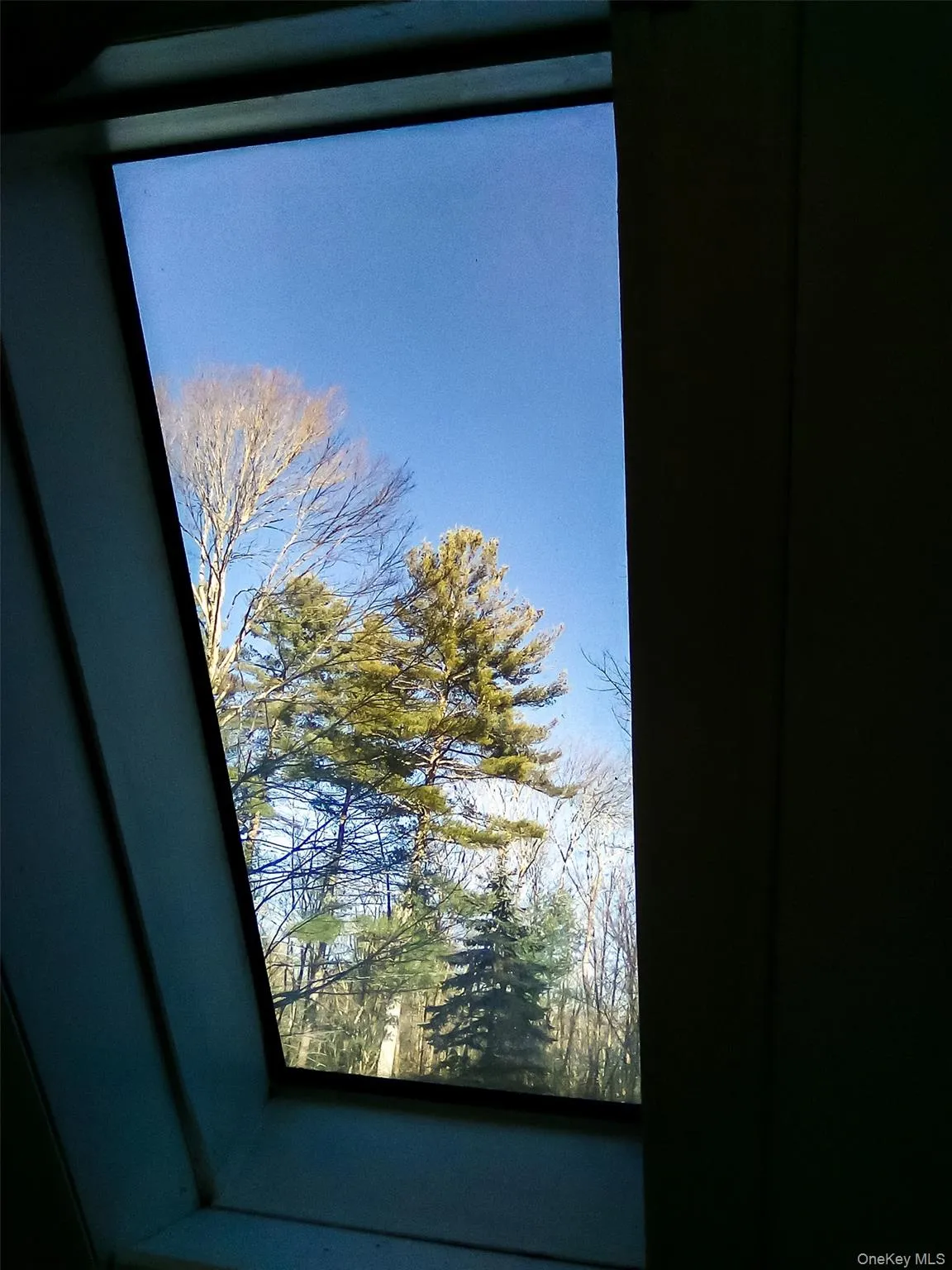 29 Schultz Road, Thompson, NY, 2 Bedrooms Bedrooms, 3 Rooms Rooms,1 BathroomBathrooms,Residential Lease,For Rent,Schultz,0,963589 29 Schultz Road, Thompson, NY, 2 Bedrooms Bedrooms, 3 Rooms Rooms,1 BathroomBathrooms,Residential Lease,For Rent,Schultz,0,963589