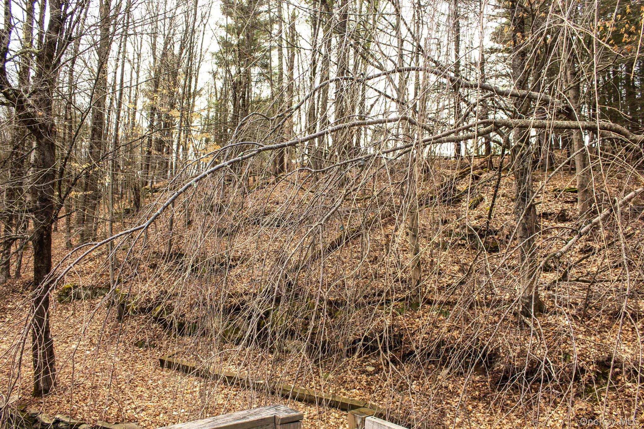 29 Schultz Road, Thompson, NY, 2 Bedrooms Bedrooms, 3 Rooms Rooms,1 BathroomBathrooms,Residential Lease,For Rent,Schultz,0,963589 29 Schultz Road, Thompson, NY, 2 Bedrooms Bedrooms, 3 Rooms Rooms,1 BathroomBathrooms,Residential Lease,For Rent,Schultz,0,963589