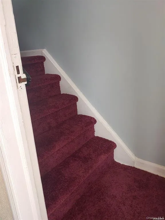 Stairway with baseboards and carpet flooring Stairway with baseboards and carpet flooring