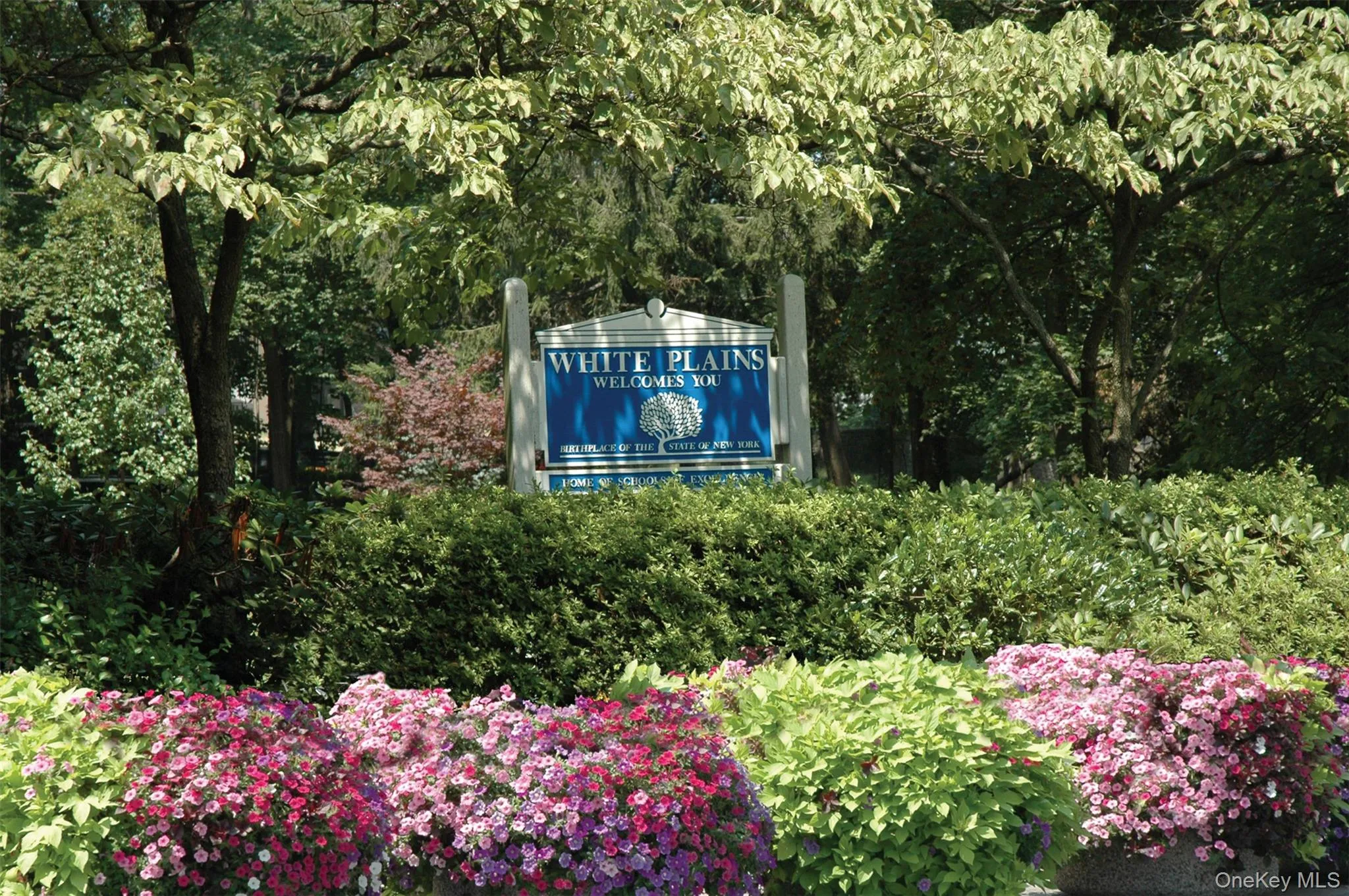 25 Midland Avenue, White Plains, NY, 5 Bedrooms Bedrooms, 11 Rooms Rooms,2 BathroomsBathrooms,Residential Lease,For Rent,Midland,0,963663 25 Midland Avenue, White Plains, NY, 5 Bedrooms Bedrooms, 11 Rooms Rooms,2 BathroomsBathrooms,Residential Lease,For Rent,Midland,0,963663