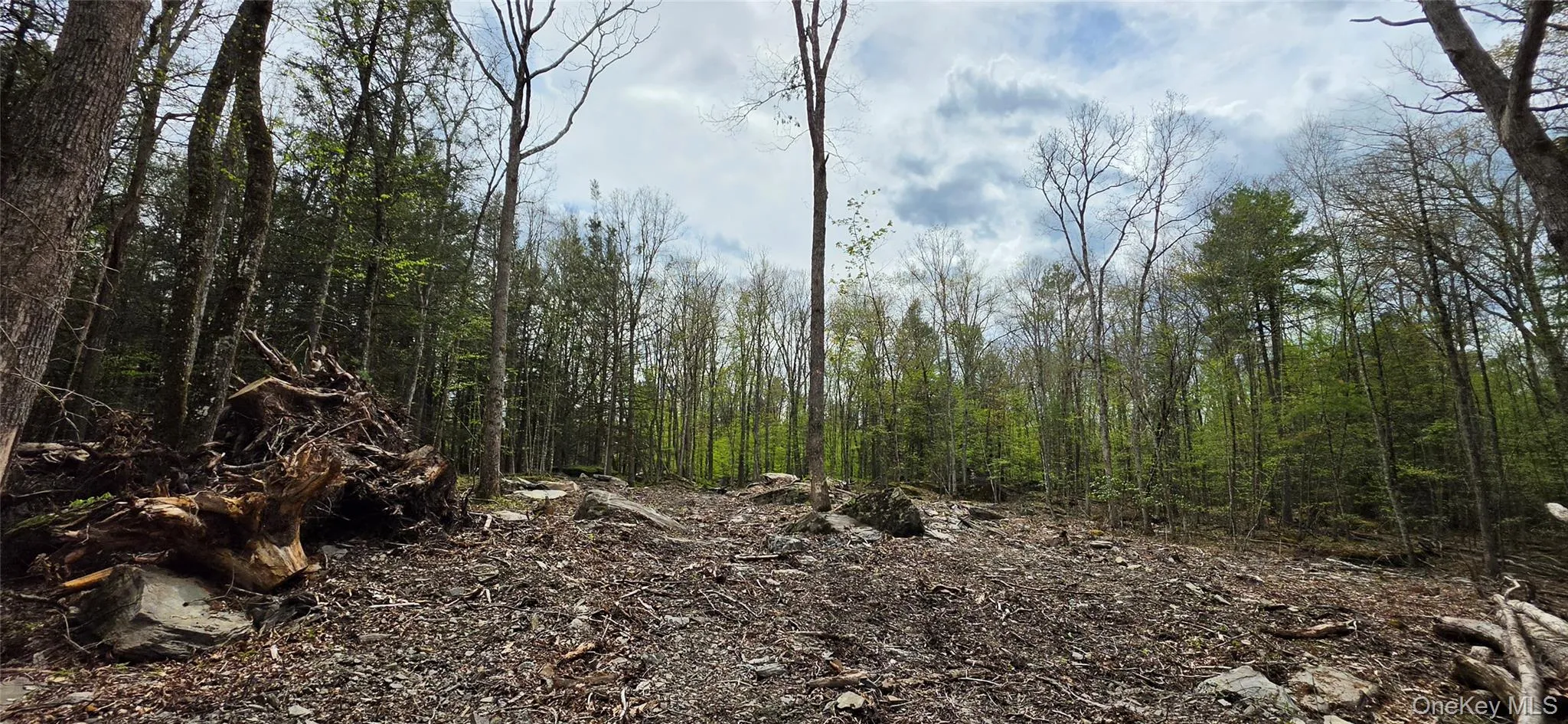 Lot 82 Perry Pond Road, Tusten, NY, ,Land,For Rent,Perry Pond,0,963698 Lot 82 Perry Pond Road, Tusten, NY, ,Land,For Rent,Perry Pond,0,963698