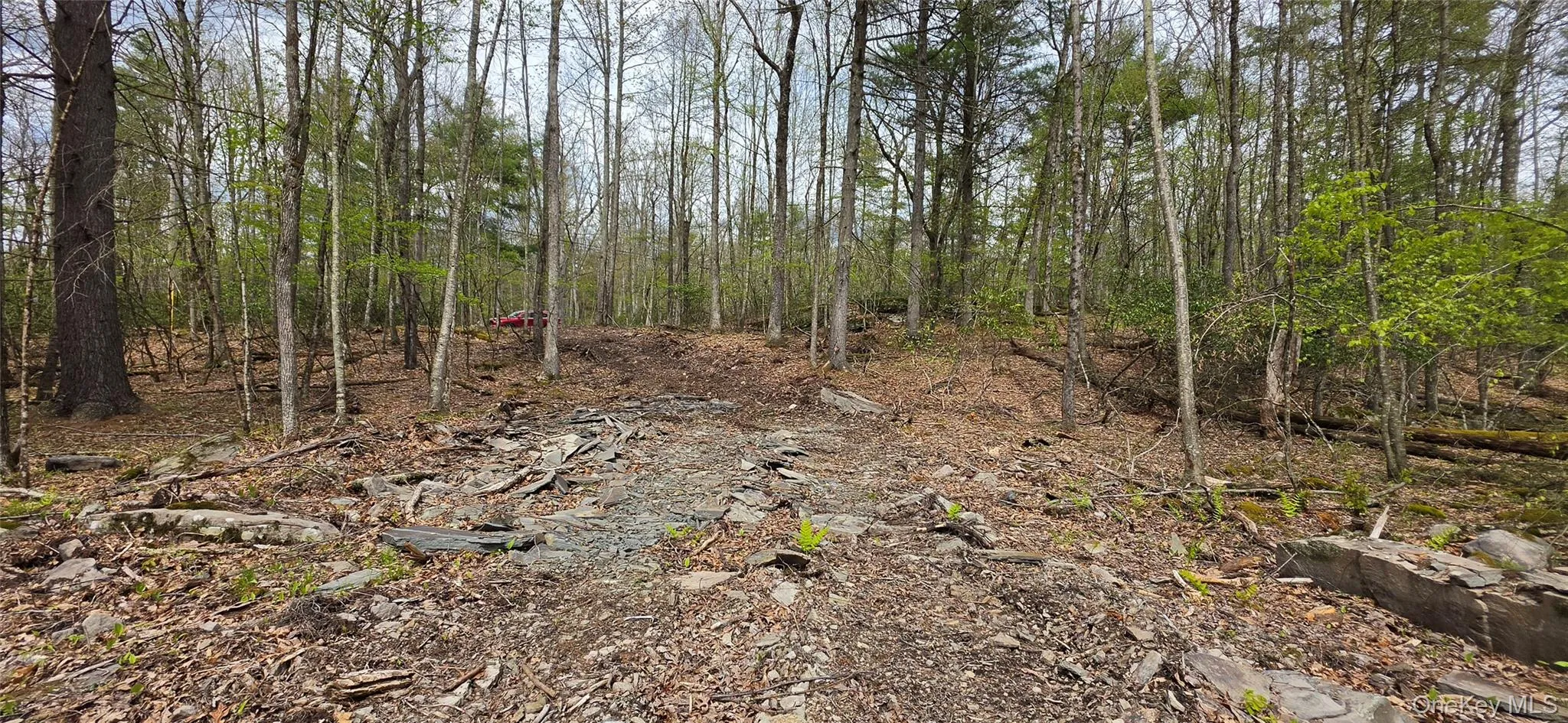 Lot 82 Perry Pond Road, Tusten, NY, ,Land,For Rent,Perry Pond,0,963698 Lot 82 Perry Pond Road, Tusten, NY, ,Land,For Rent,Perry Pond,0,963698
