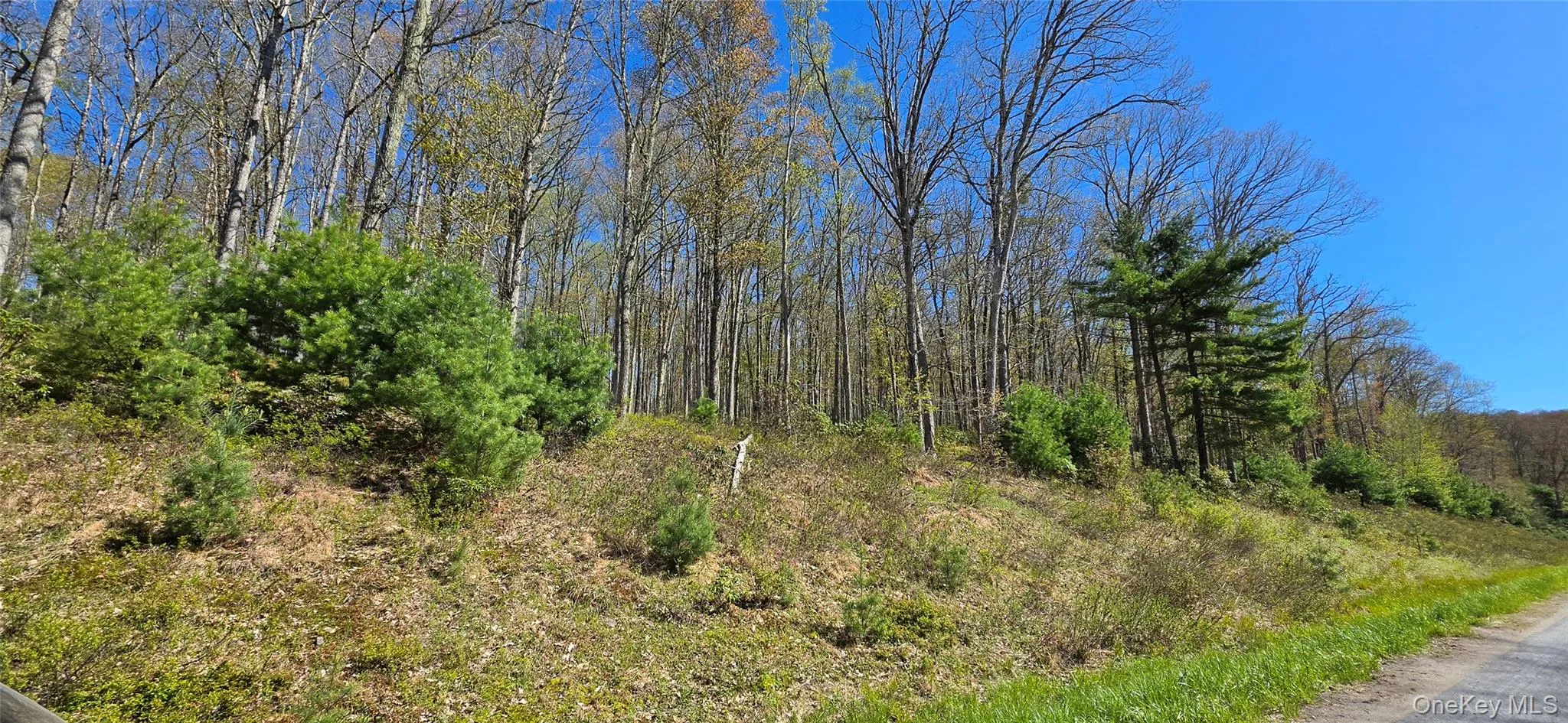 Lot 82 Perry Pond Road, Tusten, NY, ,Land,For Rent,Perry Pond,0,963698 Lot 82 Perry Pond Road, Tusten, NY, ,Land,For Rent,Perry Pond,0,963698