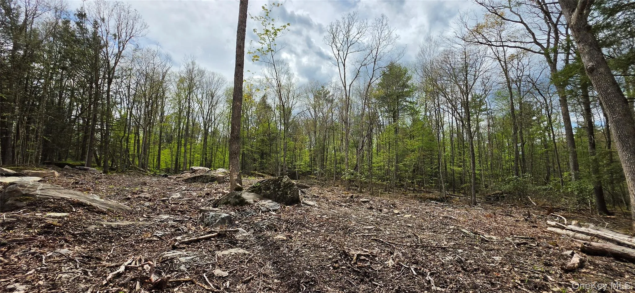 Lot 82 Perry Pond Road, Tusten, NY, ,Land,For Rent,Perry Pond,0,963698 Lot 82 Perry Pond Road, Tusten, NY, ,Land,For Rent,Perry Pond,0,963698