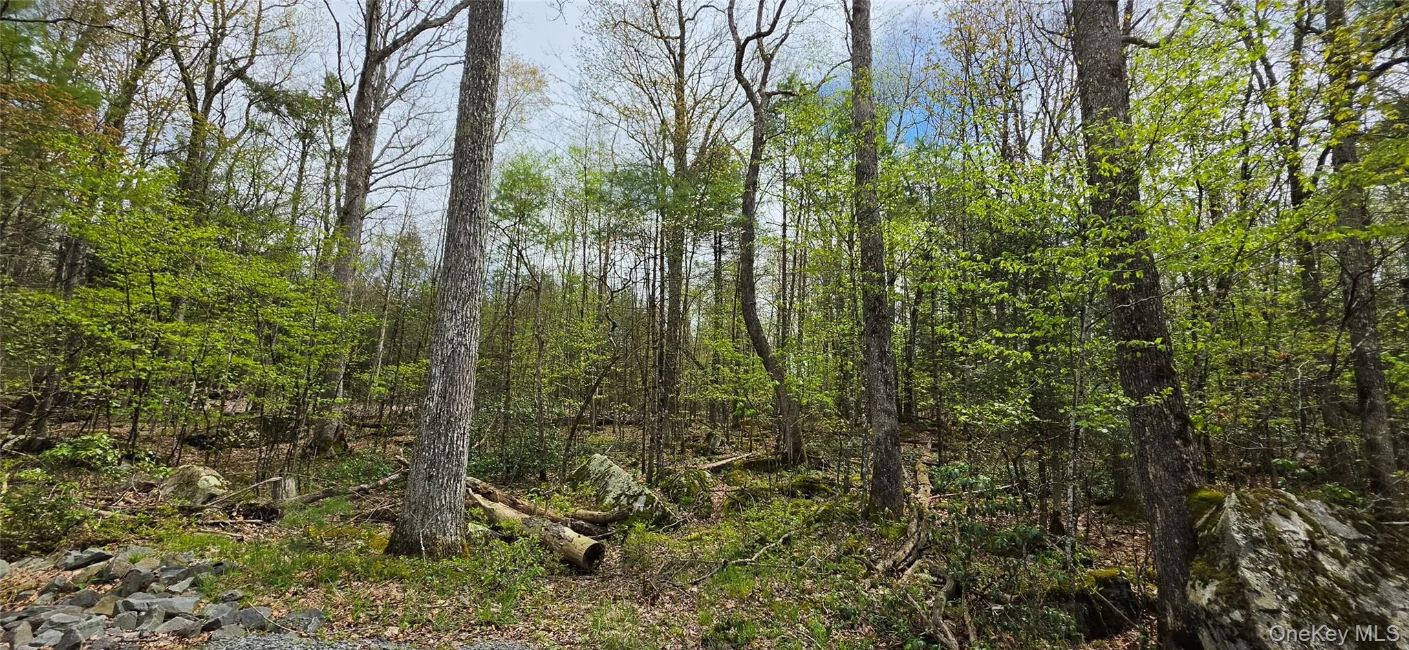 Lot 82 Perry Pond Road, Tusten, NY, ,Land,For Rent,Perry Pond,0,963698 Lot 82 Perry Pond Road, Tusten, NY, ,Land,For Rent,Perry Pond,0,963698