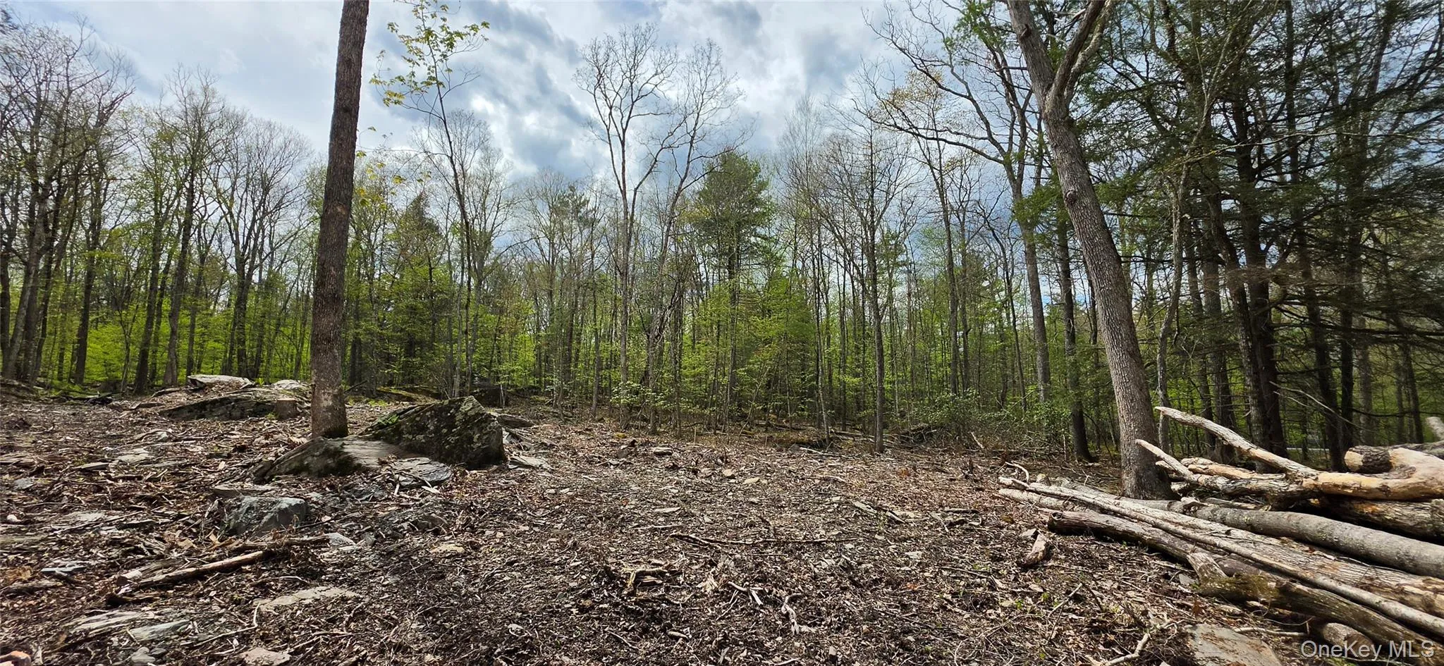 Lot 82 Perry Pond Road, Tusten, NY, ,Land,For Rent,Perry Pond,0,963698 Lot 82 Perry Pond Road, Tusten, NY, ,Land,For Rent,Perry Pond,0,963698
