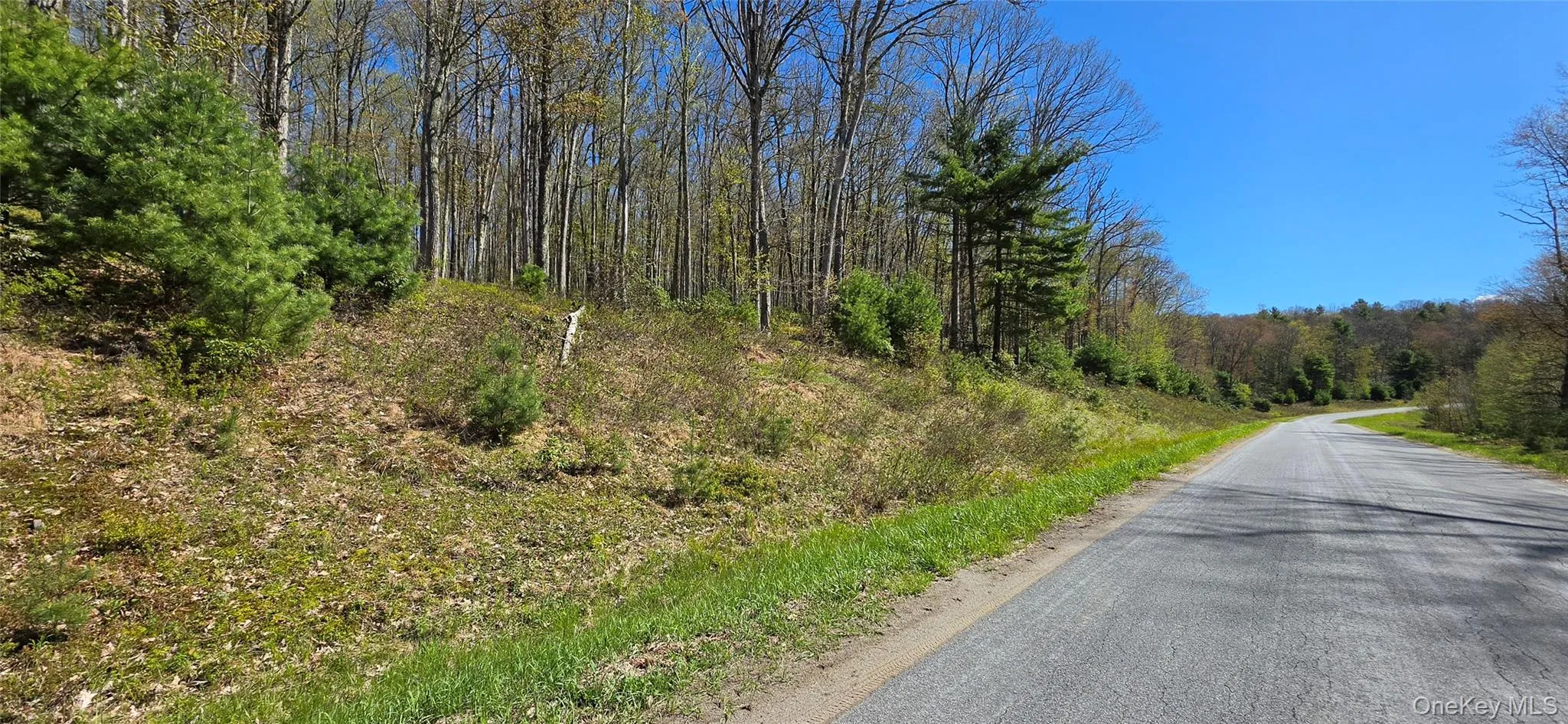 Lot 82 Perry Pond Road, Tusten, NY, ,Land,For Rent,Perry Pond,0,963698 Lot 82 Perry Pond Road, Tusten, NY, ,Land,For Rent,Perry Pond,0,963698