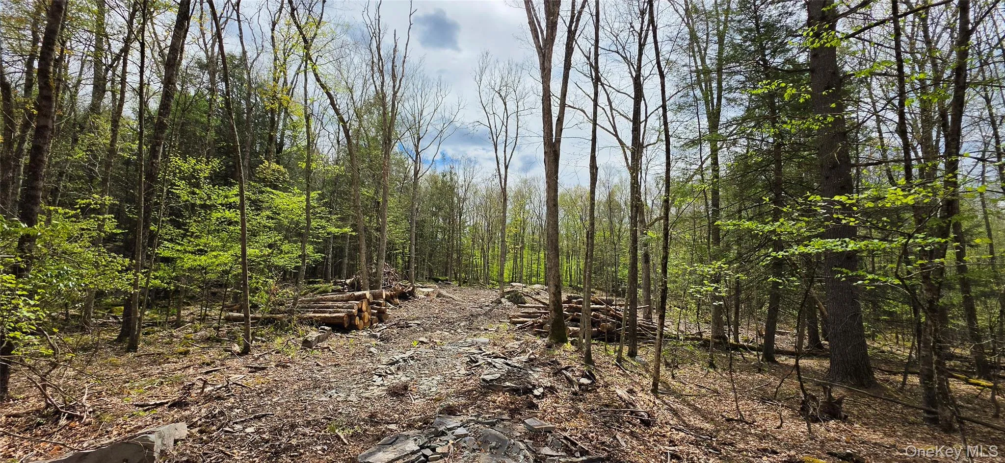 Lot 82 Perry Pond Road, Tusten, NY, ,Land,For Rent,Perry Pond,0,963698 Lot 82 Perry Pond Road, Tusten, NY, ,Land,For Rent,Perry Pond,0,963698