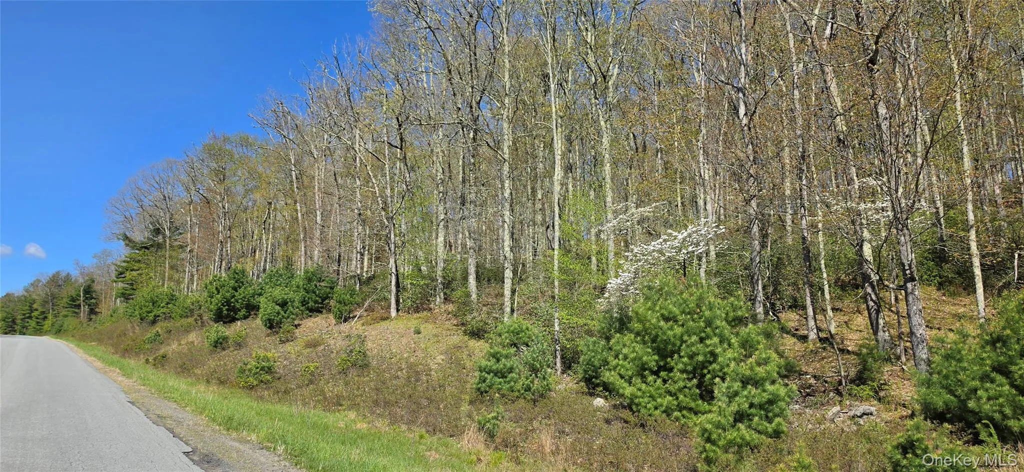 Lot 82 Perry Pond Road, Tusten, NY, ,Land,For Rent,Perry Pond,0,963698 Lot 82 Perry Pond Road, Tusten, NY, ,Land,For Rent,Perry Pond,0,963698