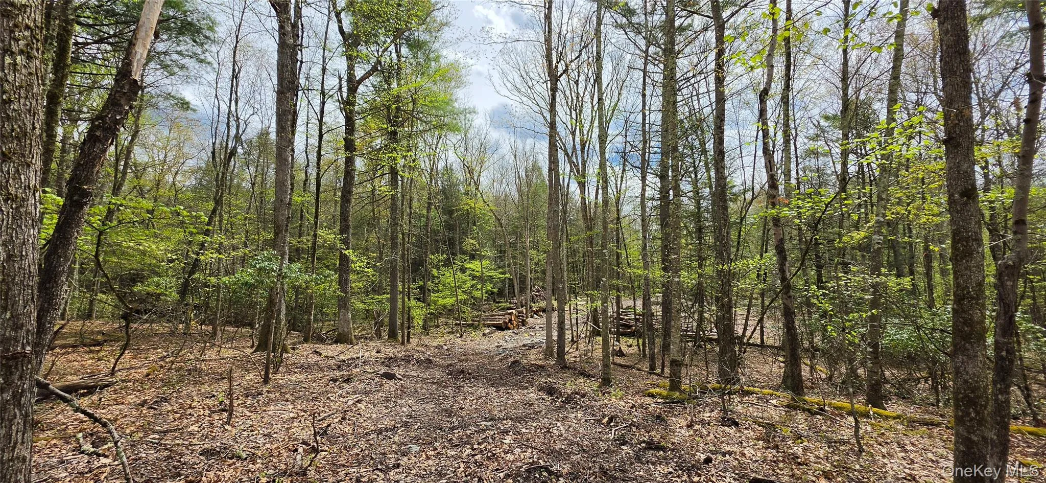 Lot 82 Perry Pond Road, Tusten, NY, ,Land,For Rent,Perry Pond,0,963698 Lot 82 Perry Pond Road, Tusten, NY, ,Land,For Rent,Perry Pond,0,963698