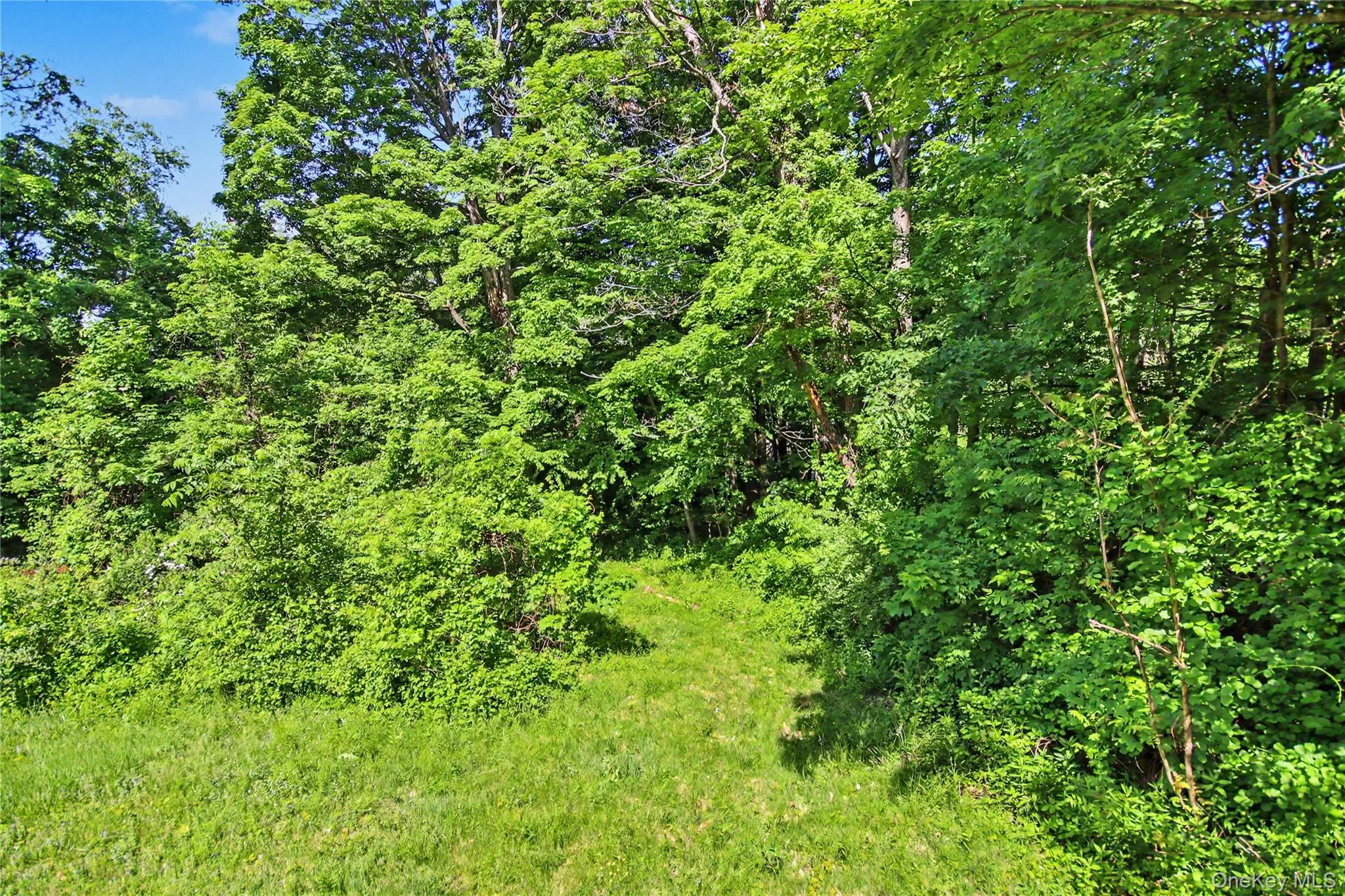 137 Lookout Pass, Beekman, NY, 3 Bedrooms Bedrooms, 7 Rooms Rooms,2 BathroomsBathrooms,Residential,For Rent,Lookout,0,963759 137 Lookout Pass, Beekman, NY, 3 Bedrooms Bedrooms, 7 Rooms Rooms,2 BathroomsBathrooms,Residential,For Rent,Lookout,0,963759
