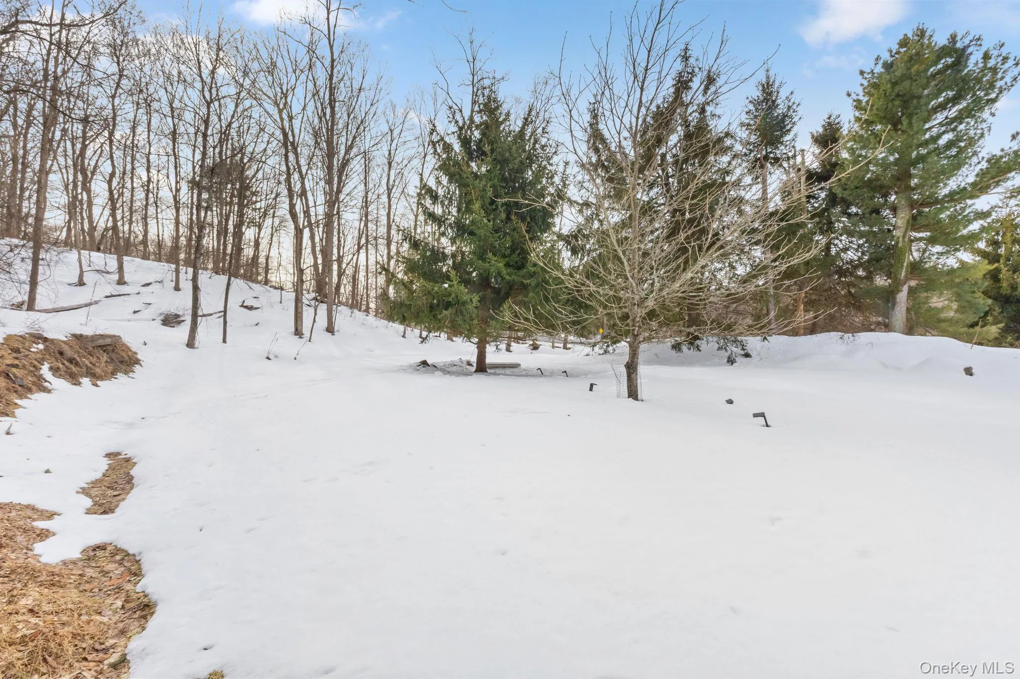 1156 Route 35, Lewisboro, NY, 2 Bedrooms Bedrooms, 7 Rooms Rooms,2 BathroomsBathrooms,Residential Lease,For Rent,Route 35,0,963762 1156 Route 35, Lewisboro, NY, 2 Bedrooms Bedrooms, 7 Rooms Rooms,2 BathroomsBathrooms,Residential Lease,For Rent,Route 35,0,963762