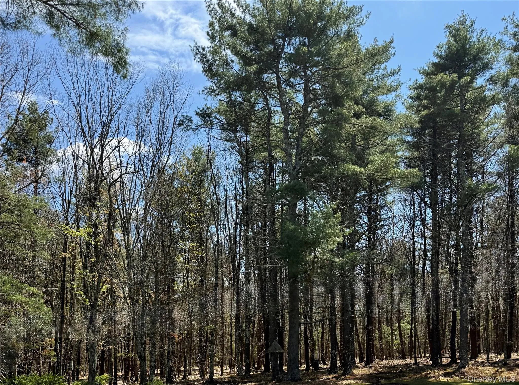 Lot 20.8 Airport Road, Highland, NY, ,Land,For Rent,Airport,0,963783 Lot 20.8 Airport Road, Highland, NY, ,Land,For Rent,Airport,0,963783
