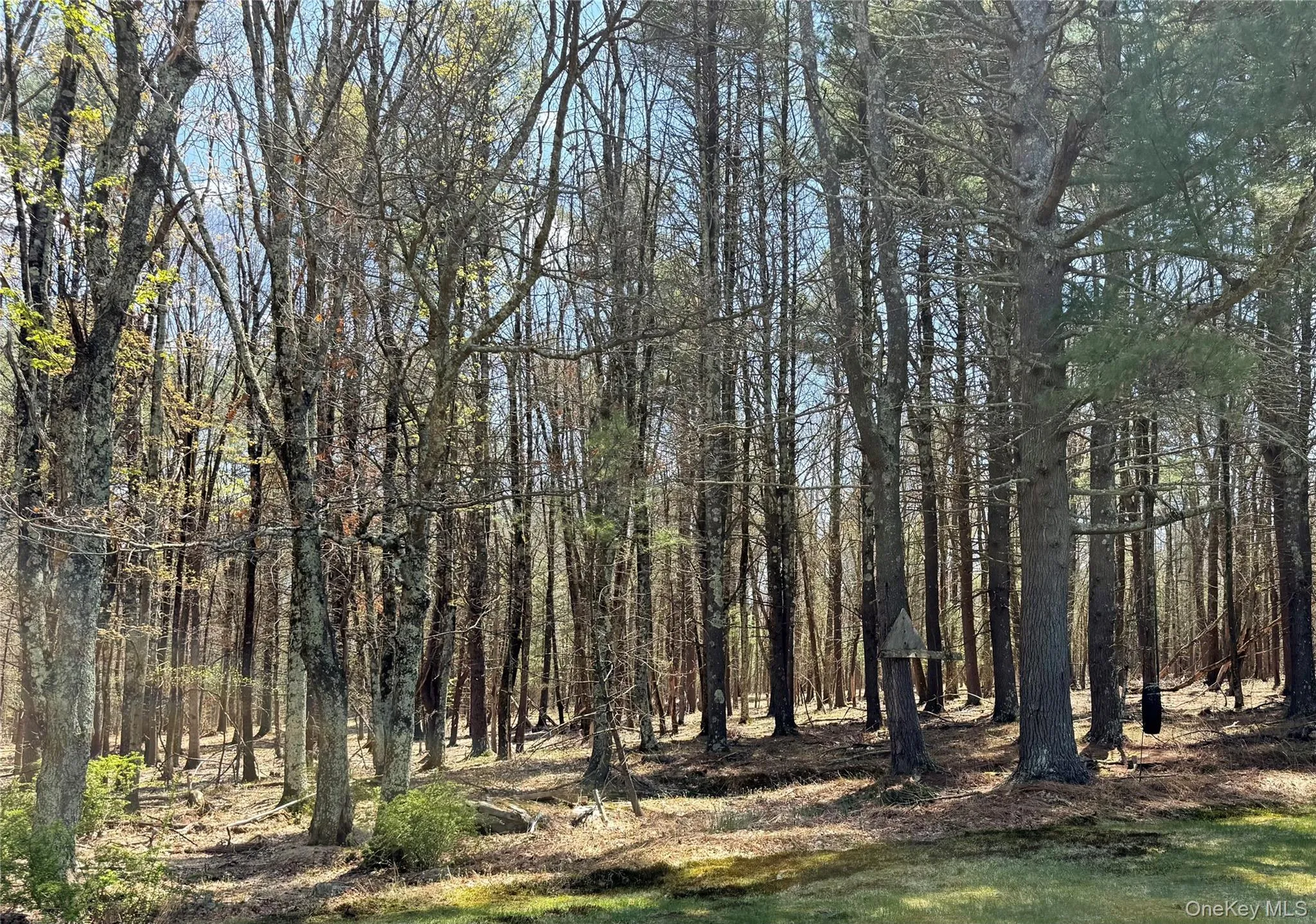Lot 20.8 Airport Road, Highland, NY, ,Land,For Rent,Airport,0,963783 Lot 20.8 Airport Road, Highland, NY, ,Land,For Rent,Airport,0,963783