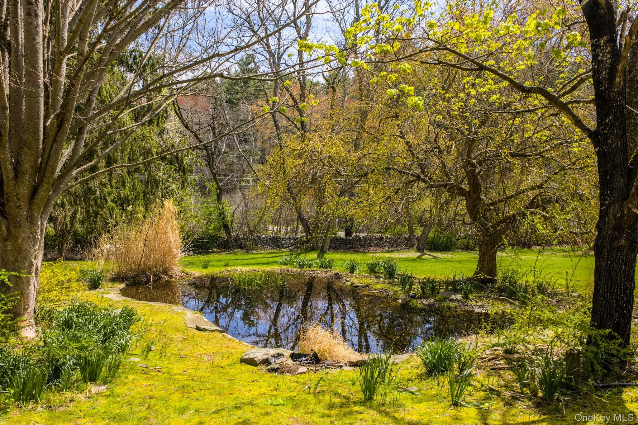 271 High Road, Lumberland, NY, 3 Bedrooms Bedrooms, 7 Rooms Rooms,2 BathroomsBathrooms,Residential,For Rent,High,0,963784 271 High Road, Lumberland, NY, 3 Bedrooms Bedrooms, 7 Rooms Rooms,2 BathroomsBathrooms,Residential,For Rent,High,0,963784