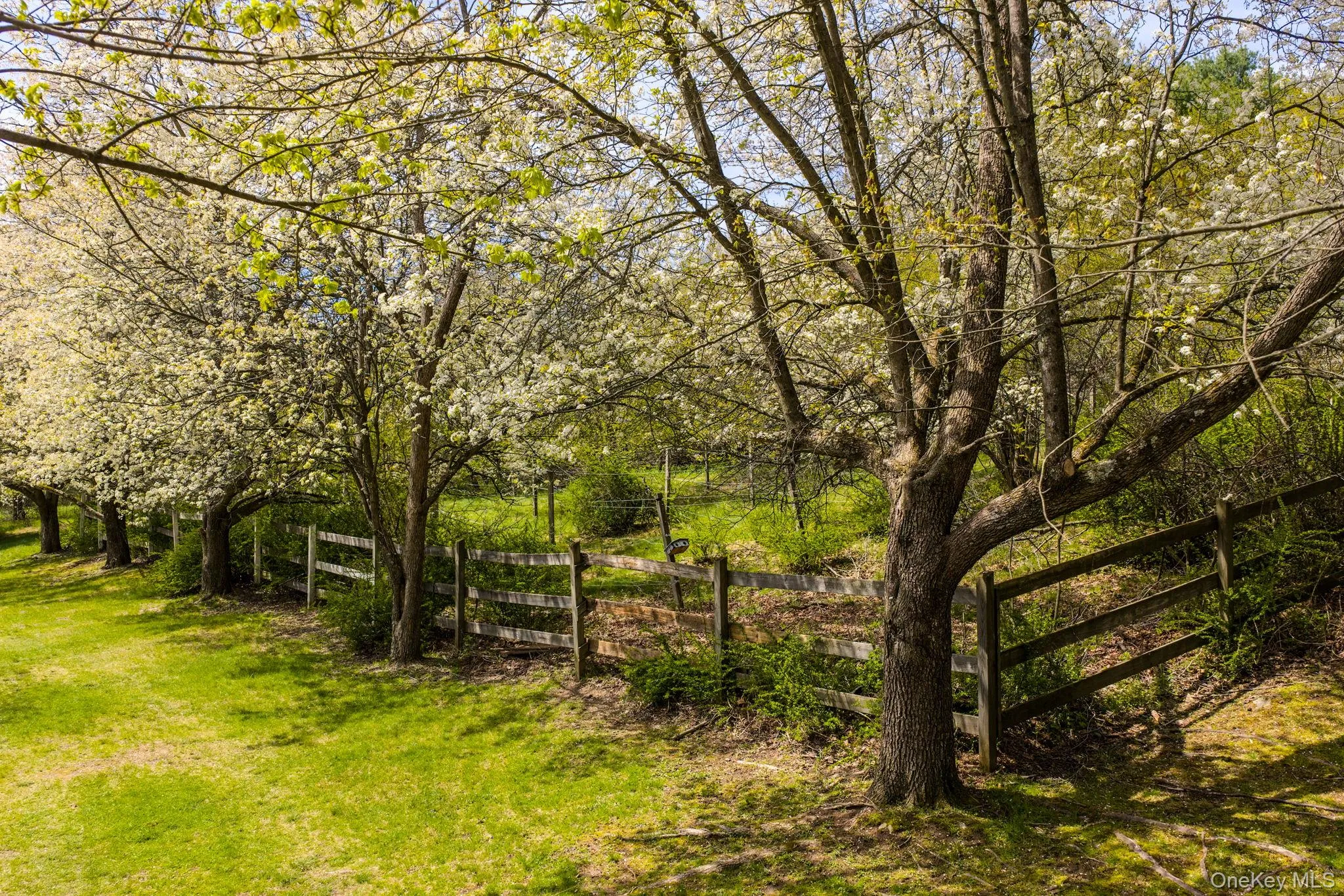 271 High Road, Lumberland, NY, 3 Bedrooms Bedrooms, 7 Rooms Rooms,2 BathroomsBathrooms,Residential,For Rent,High,0,963784 271 High Road, Lumberland, NY, 3 Bedrooms Bedrooms, 7 Rooms Rooms,2 BathroomsBathrooms,Residential,For Rent,High,0,963784