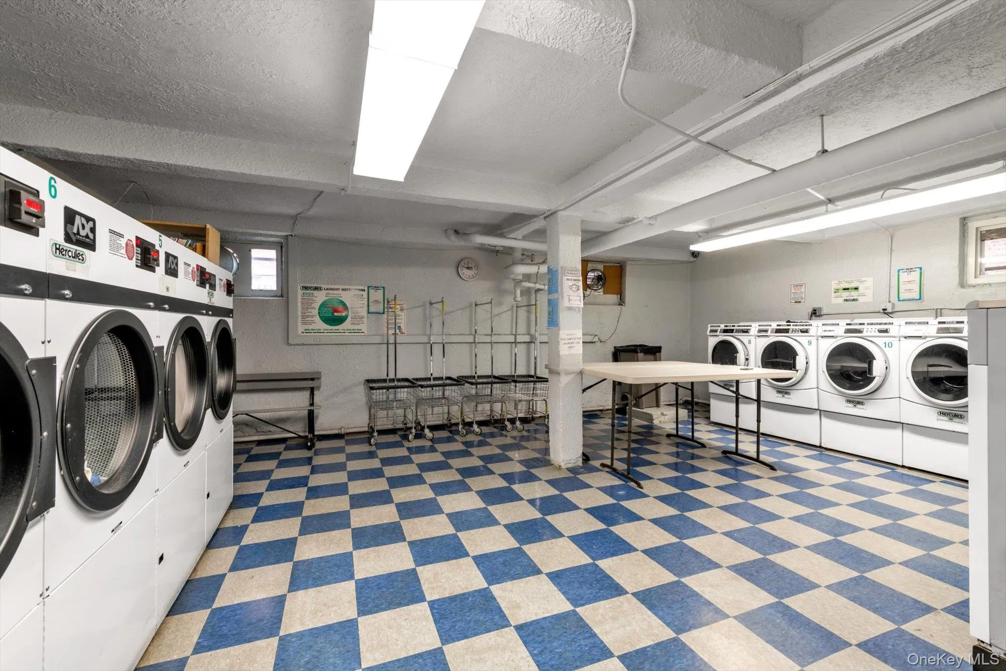 8380 118th Street, New York, NY, 3 Rooms Rooms,1 BathroomBathrooms,Residential Lease,For Rent,118th,0,963911 8380 118th Street, New York, NY, 3 Rooms Rooms,1 BathroomBathrooms,Residential Lease,For Rent,118th,0,963911