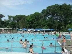 62 Forest Row, North Hempstead, NY, 4 Bedrooms Bedrooms, 11 Rooms Rooms,2 BathroomsBathrooms,Residential Lease,For Rent,Forest,0,964021 62 Forest Row, North Hempstead, NY, 4 Bedrooms Bedrooms, 11 Rooms Rooms,2 BathroomsBathrooms,Residential Lease,For Rent,Forest,0,964021