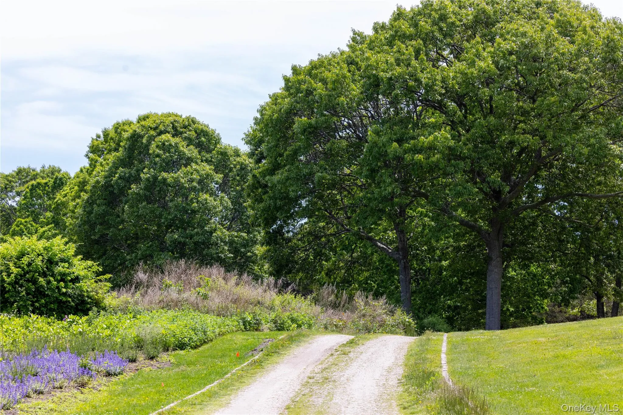 2840 Stars Road, Southold, NY, 5 Bedrooms Bedrooms, 11 Rooms Rooms,7 BathroomsBathrooms,Residential Lease,For Rent,Stars,0,964034 2840 Stars Road, Southold, NY, 5 Bedrooms Bedrooms, 11 Rooms Rooms,7 BathroomsBathrooms,Residential Lease,For Rent,Stars,0,964034