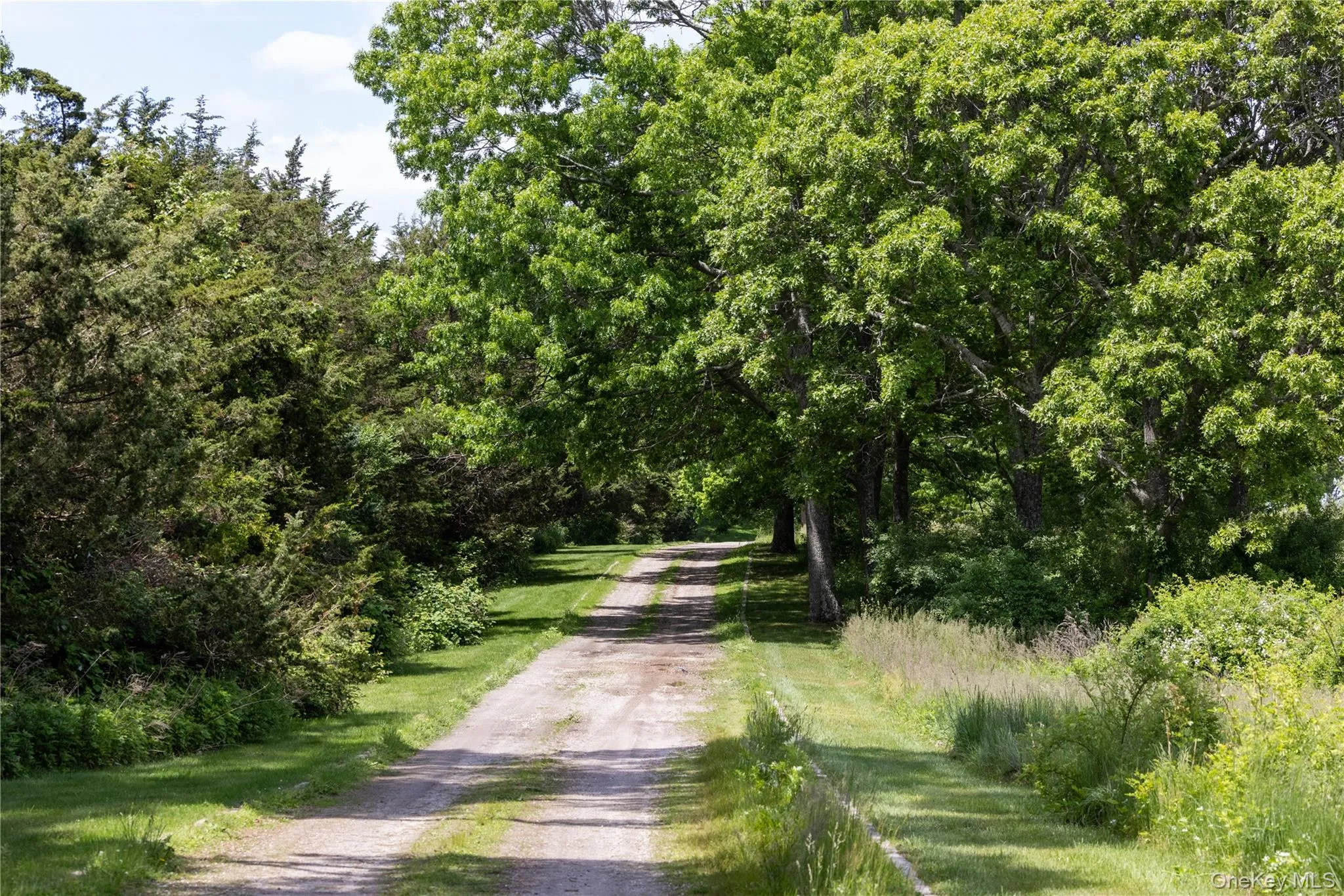 2840 Stars Road, Southold, NY, 5 Bedrooms Bedrooms, 11 Rooms Rooms,7 BathroomsBathrooms,Residential Lease,For Rent,Stars,0,964034 2840 Stars Road, Southold, NY, 5 Bedrooms Bedrooms, 11 Rooms Rooms,7 BathroomsBathrooms,Residential Lease,For Rent,Stars,0,964034