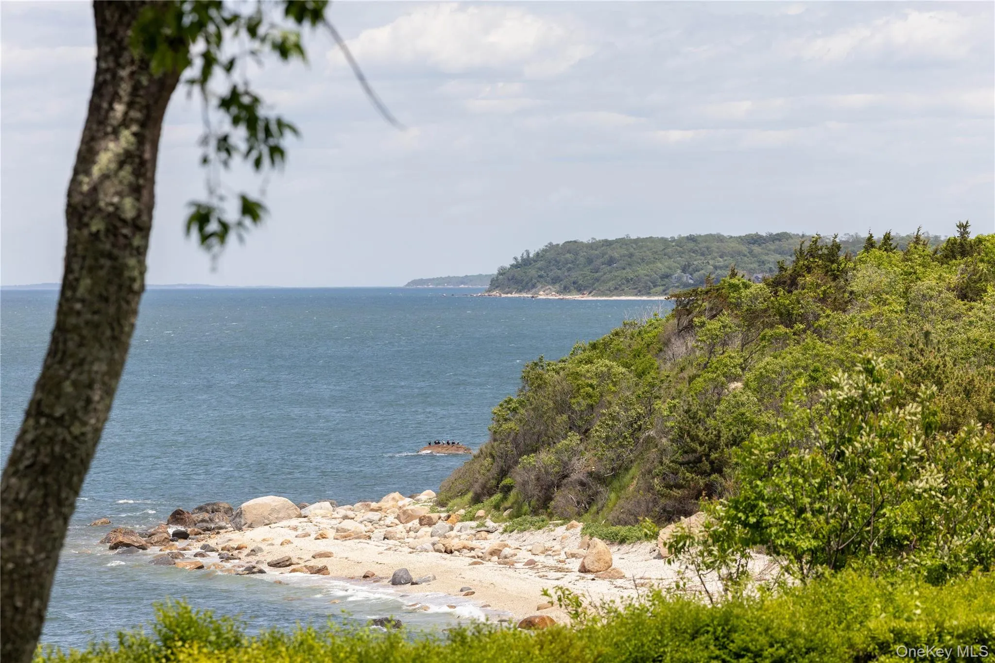 2840 Stars Road, Southold, NY, 5 Bedrooms Bedrooms, 11 Rooms Rooms,7 BathroomsBathrooms,Residential Lease,For Rent,Stars,0,964034 2840 Stars Road, Southold, NY, 5 Bedrooms Bedrooms, 11 Rooms Rooms,7 BathroomsBathrooms,Residential Lease,For Rent,Stars,0,964034