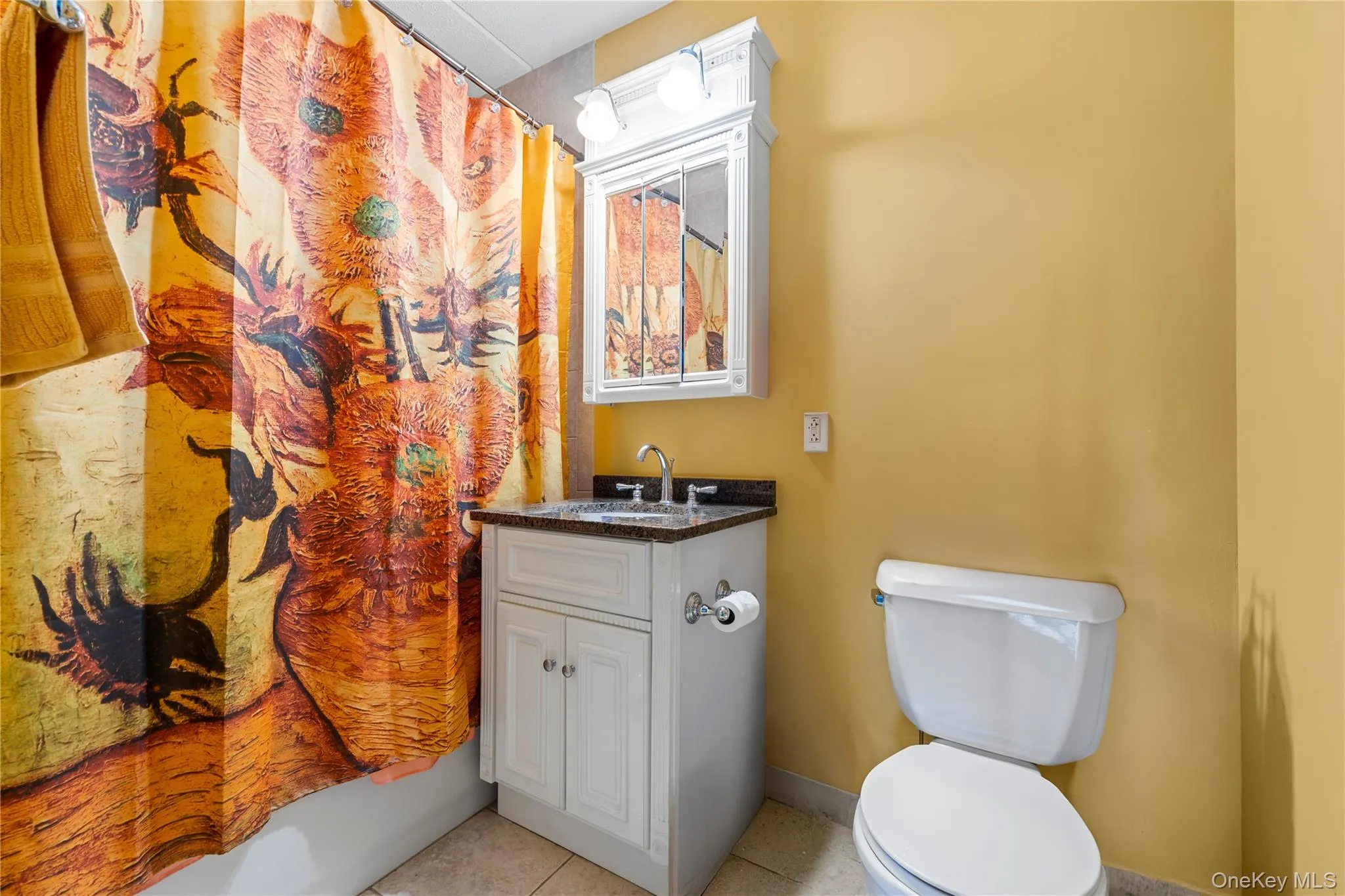 Bathroom featuring a white vanity with a dark countertop, an overhead vanity light, an integrated medicine cabinet, and a toilet Bathroom featuring a white vanity with a dark countertop, an overhead vanity light, an integrated medicine cabinet, and a toilet