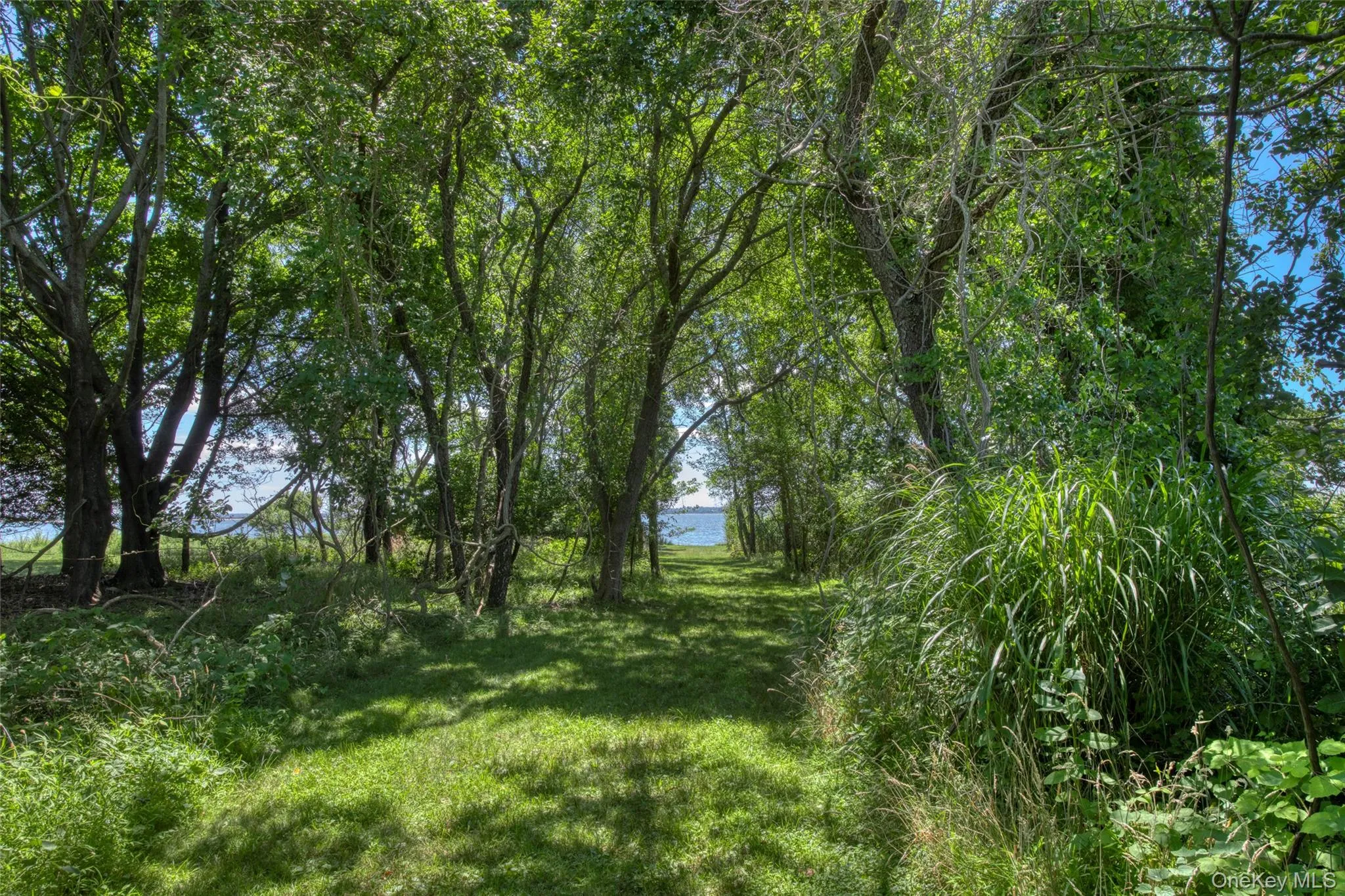 path to bay beach path to bay beach