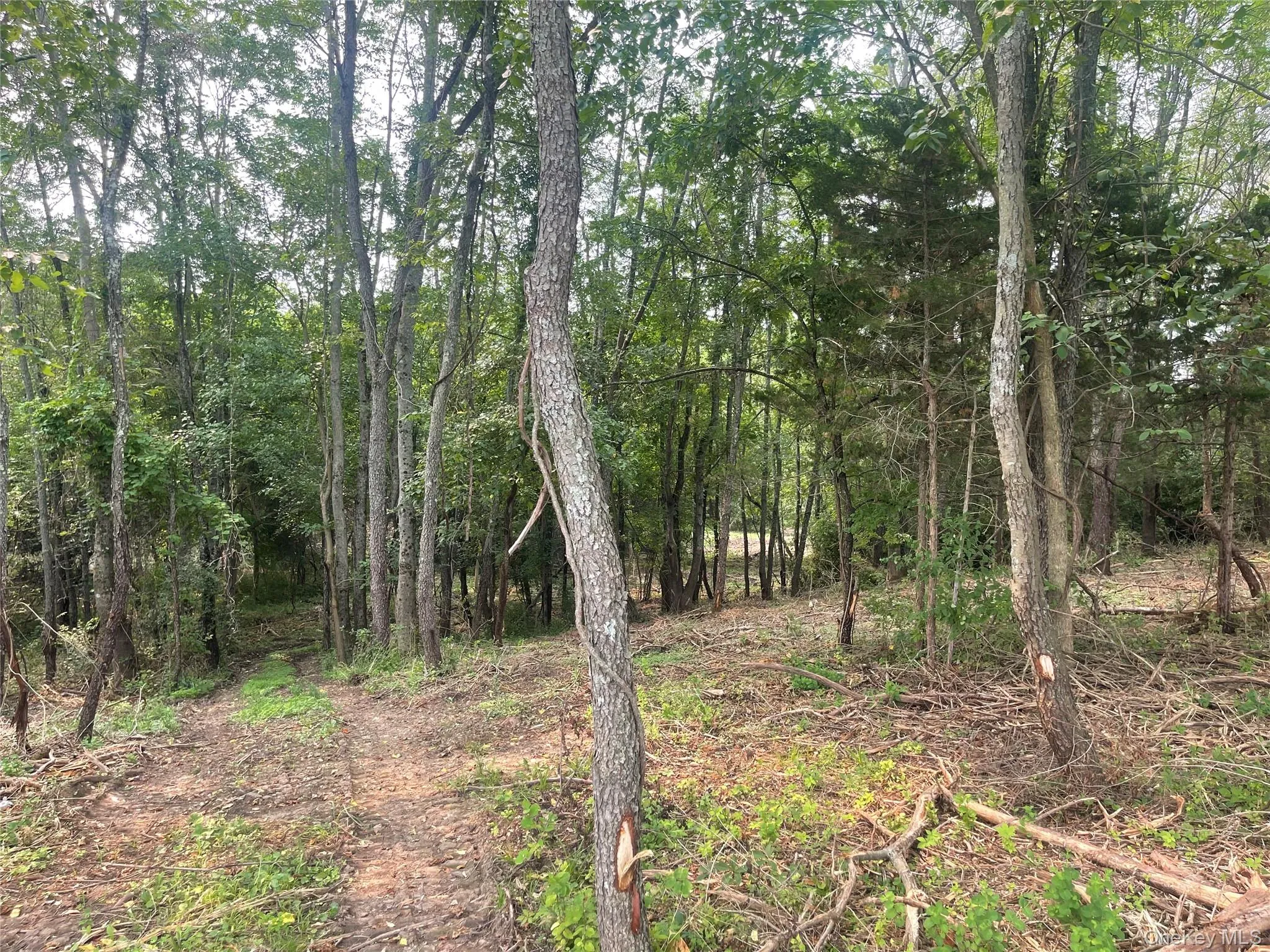 Bells Pond Road, Livingston, NY, ,Land,For Rent,Bells Pond,0,964507 Bells Pond Road, Livingston, NY, ,Land,For Rent,Bells Pond,0,964507