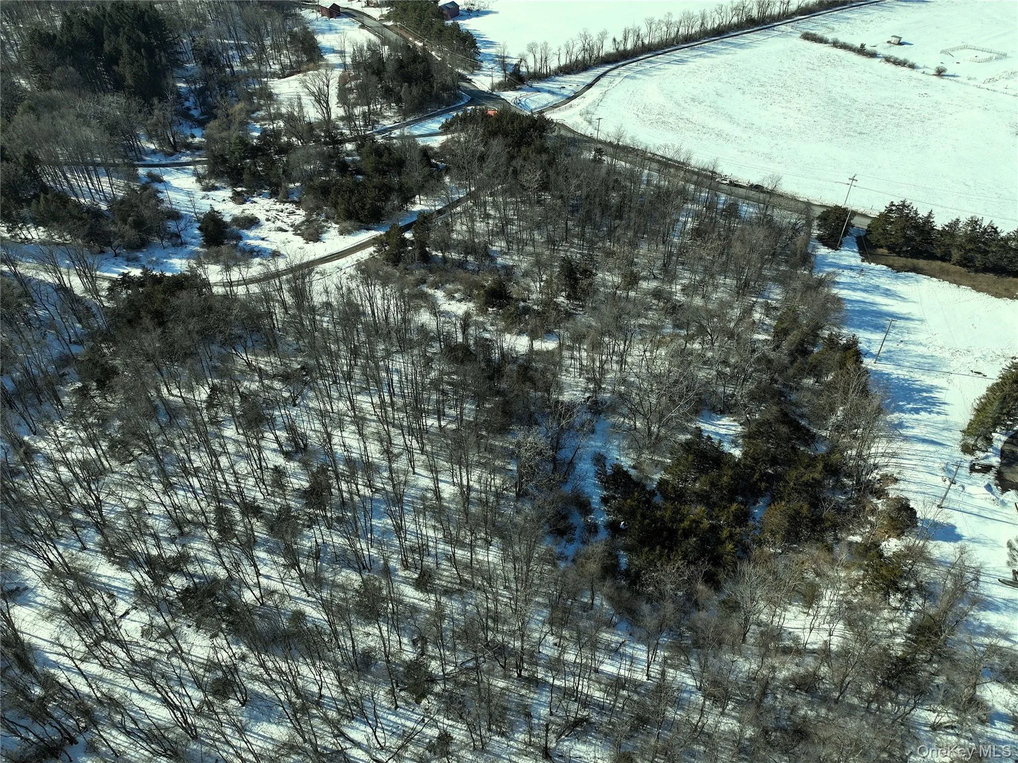 Bells Pond Road, Livingston, NY, ,Land,For Rent,Bells Pond,0,964507 Bells Pond Road, Livingston, NY, ,Land,For Rent,Bells Pond,0,964507