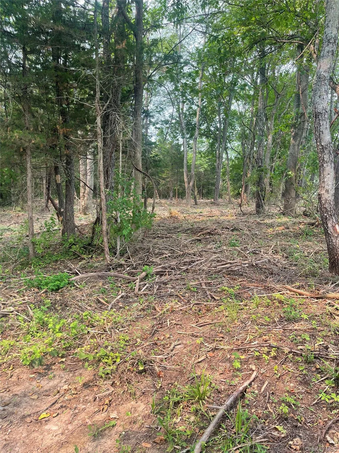 Bells Pond Road, Livingston, NY, ,Land,For Rent,Bells Pond,0,964507 Bells Pond Road, Livingston, NY, ,Land,For Rent,Bells Pond,0,964507