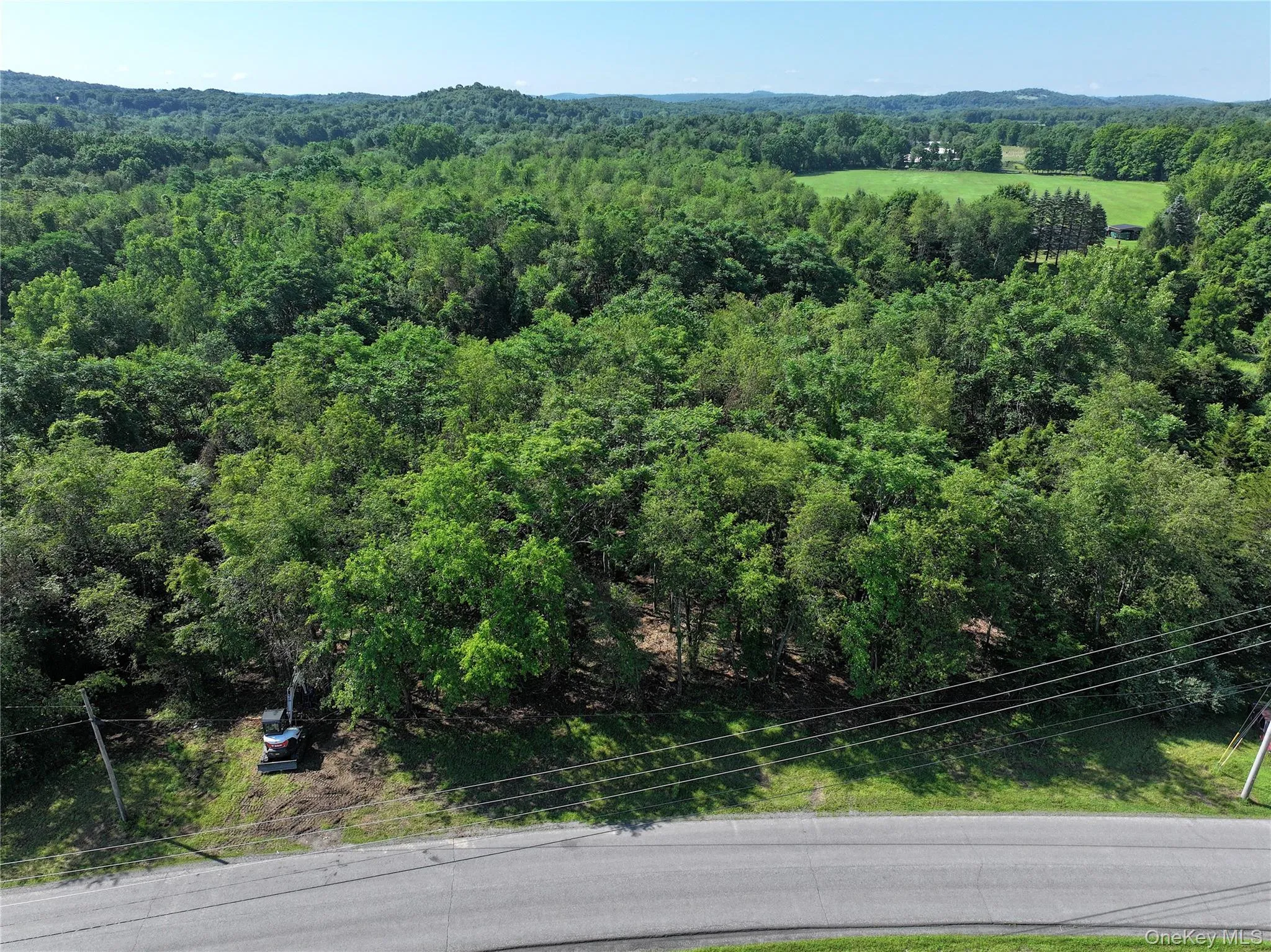 Bells Pond Road, Livingston, NY, ,Land,For Rent,Bells Pond,0,964507 Bells Pond Road, Livingston, NY, ,Land,For Rent,Bells Pond,0,964507