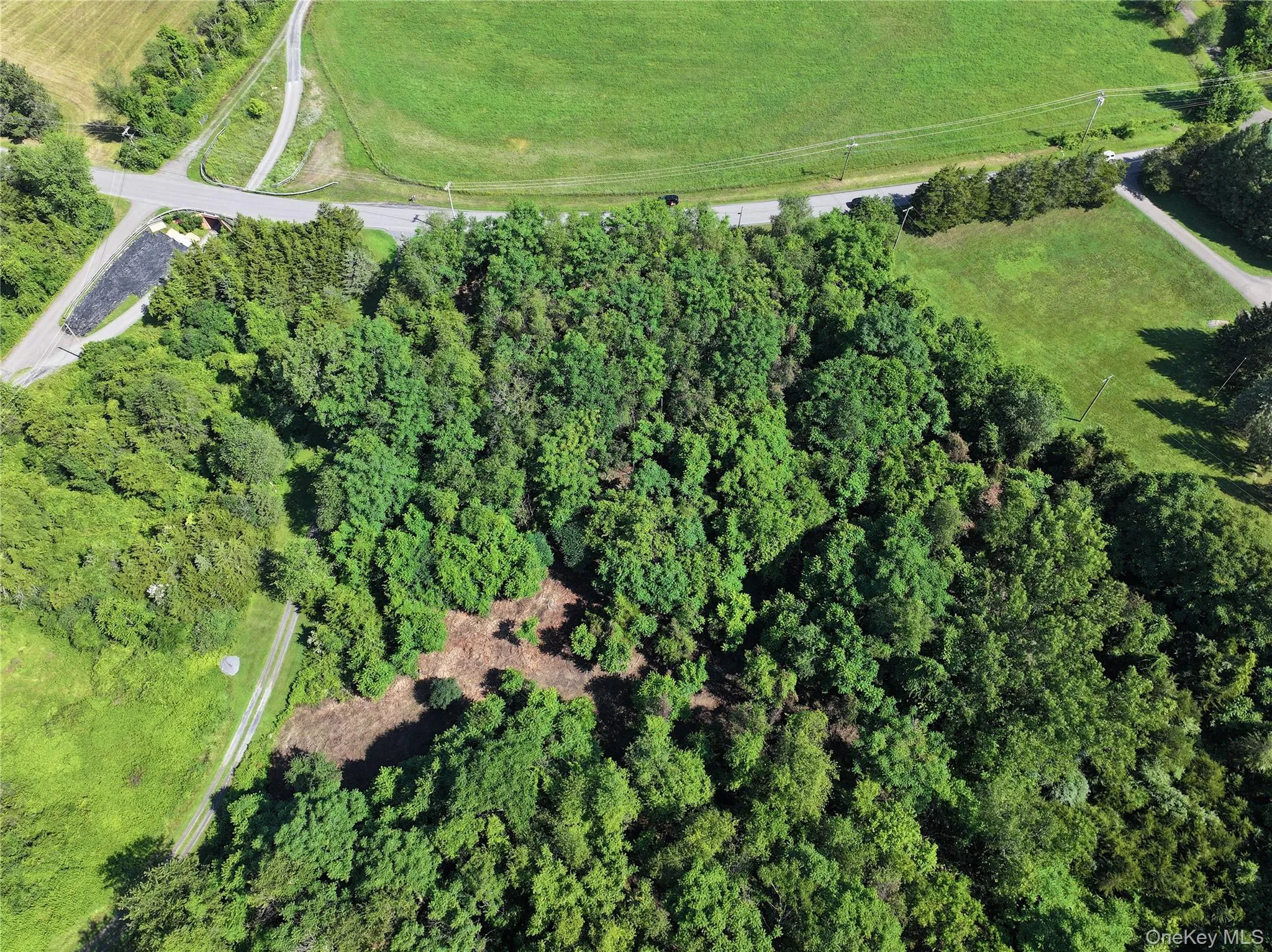 Bells Pond Road, Livingston, NY, ,Land,For Rent,Bells Pond,0,964507 Bells Pond Road, Livingston, NY, ,Land,For Rent,Bells Pond,0,964507