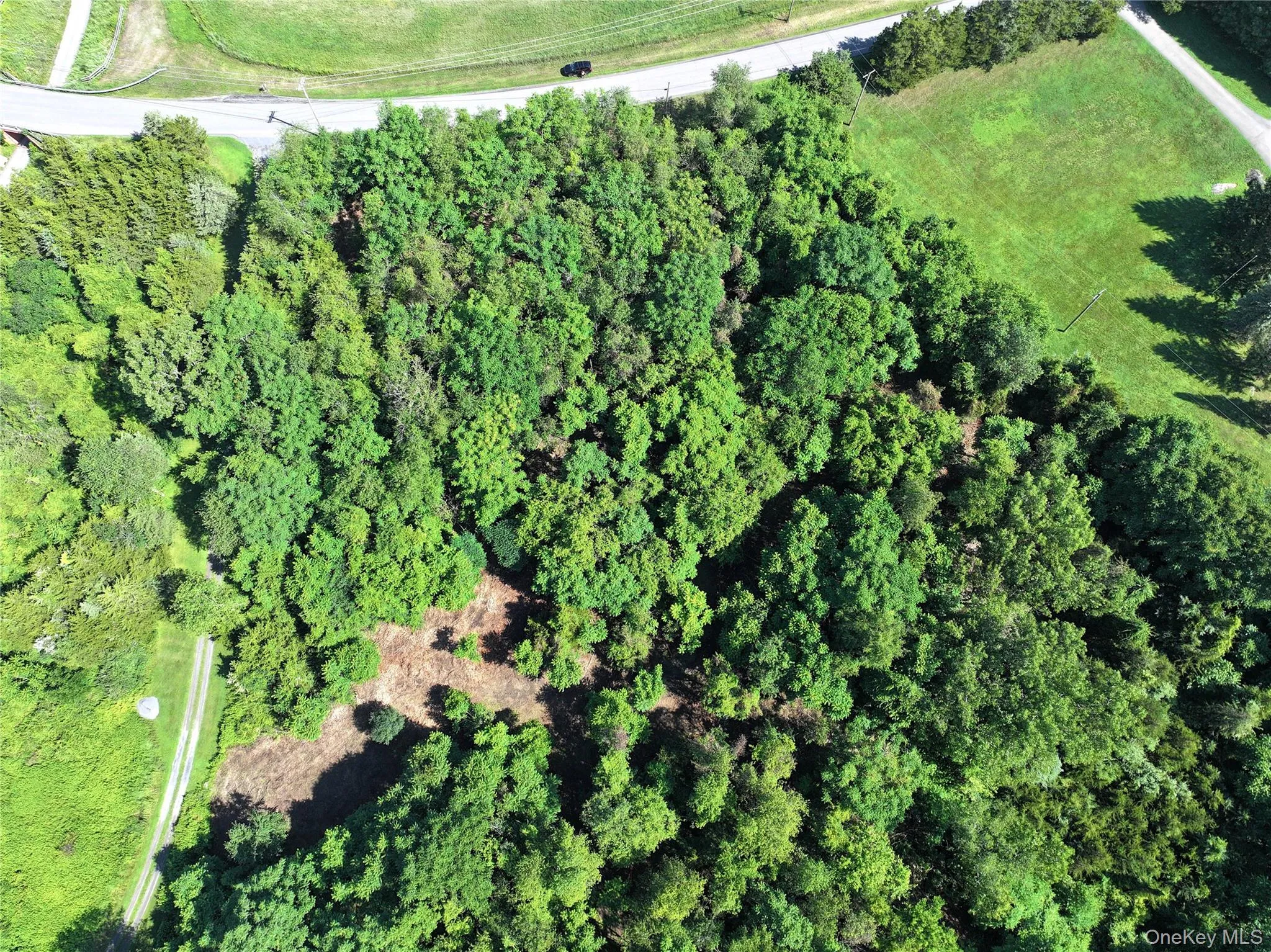 Bells Pond Road, Livingston, NY, ,Land,For Rent,Bells Pond,0,964507 Bells Pond Road, Livingston, NY, ,Land,For Rent,Bells Pond,0,964507