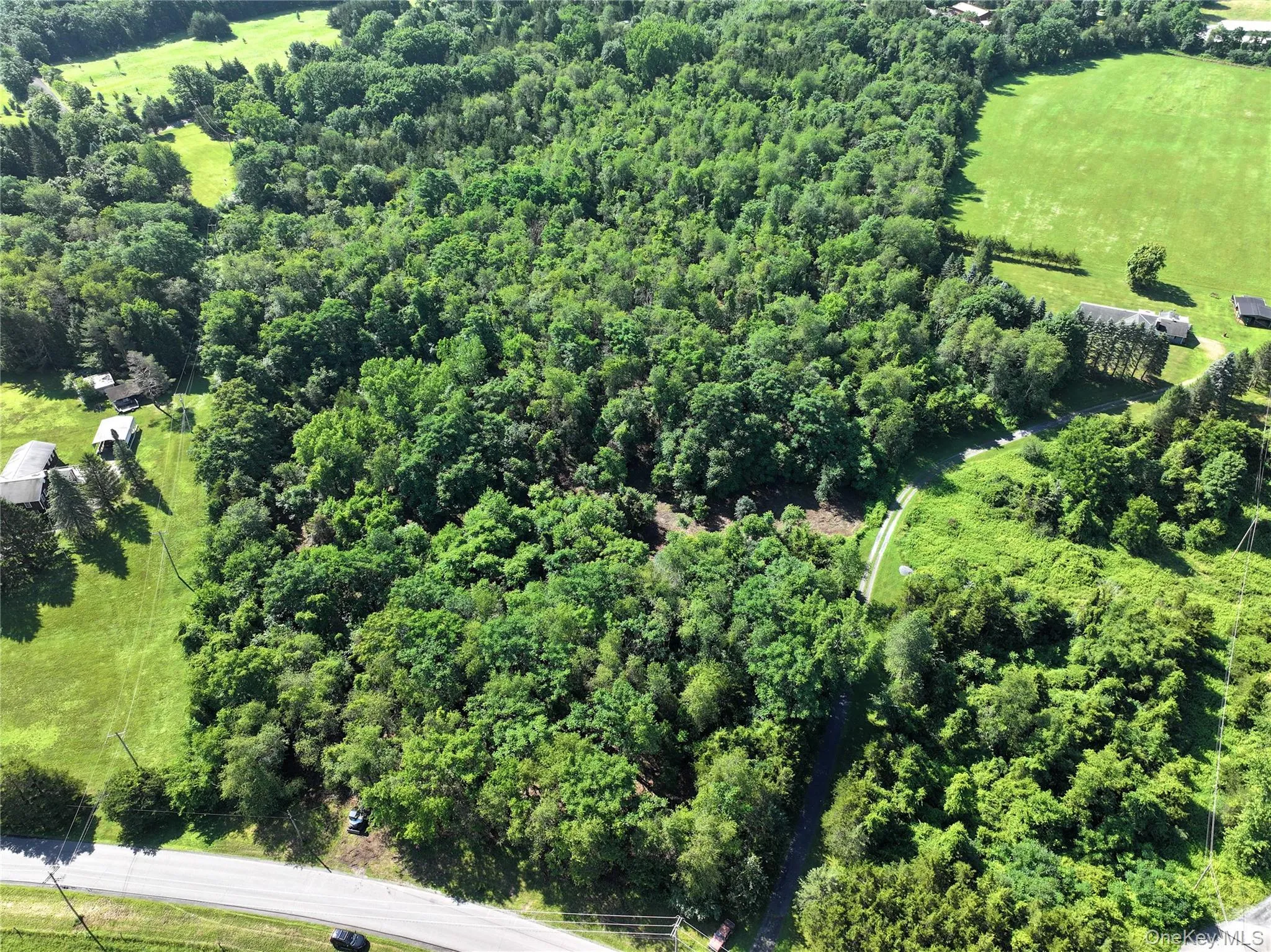 Bells Pond Road, Livingston, NY, ,Land,For Rent,Bells Pond,0,964507 Bells Pond Road, Livingston, NY, ,Land,For Rent,Bells Pond,0,964507