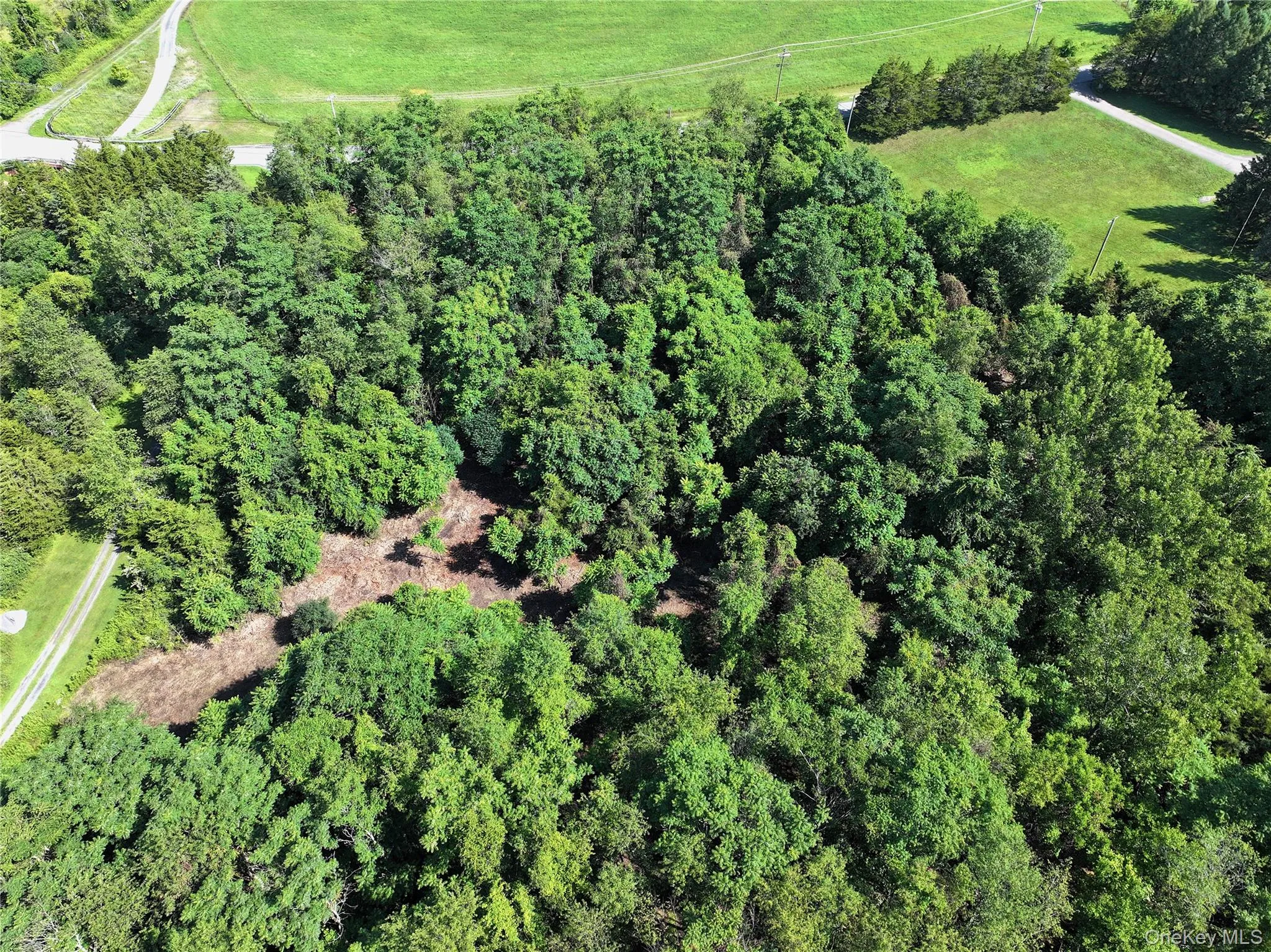 Bells Pond Road, Livingston, NY, ,Land,For Rent,Bells Pond,0,964507 Bells Pond Road, Livingston, NY, ,Land,For Rent,Bells Pond,0,964507