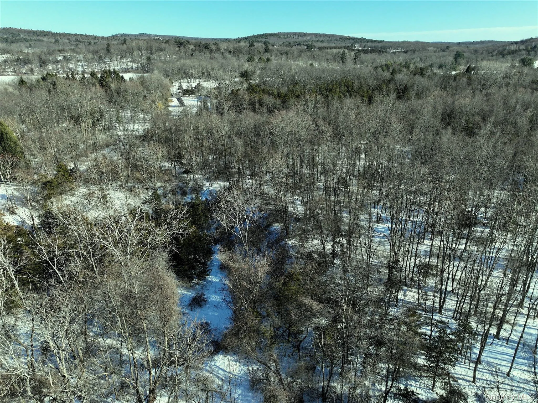 Bells Pond Road, Livingston, NY, ,Land,For Rent,Bells Pond,0,964507 Bells Pond Road, Livingston, NY, ,Land,For Rent,Bells Pond,0,964507