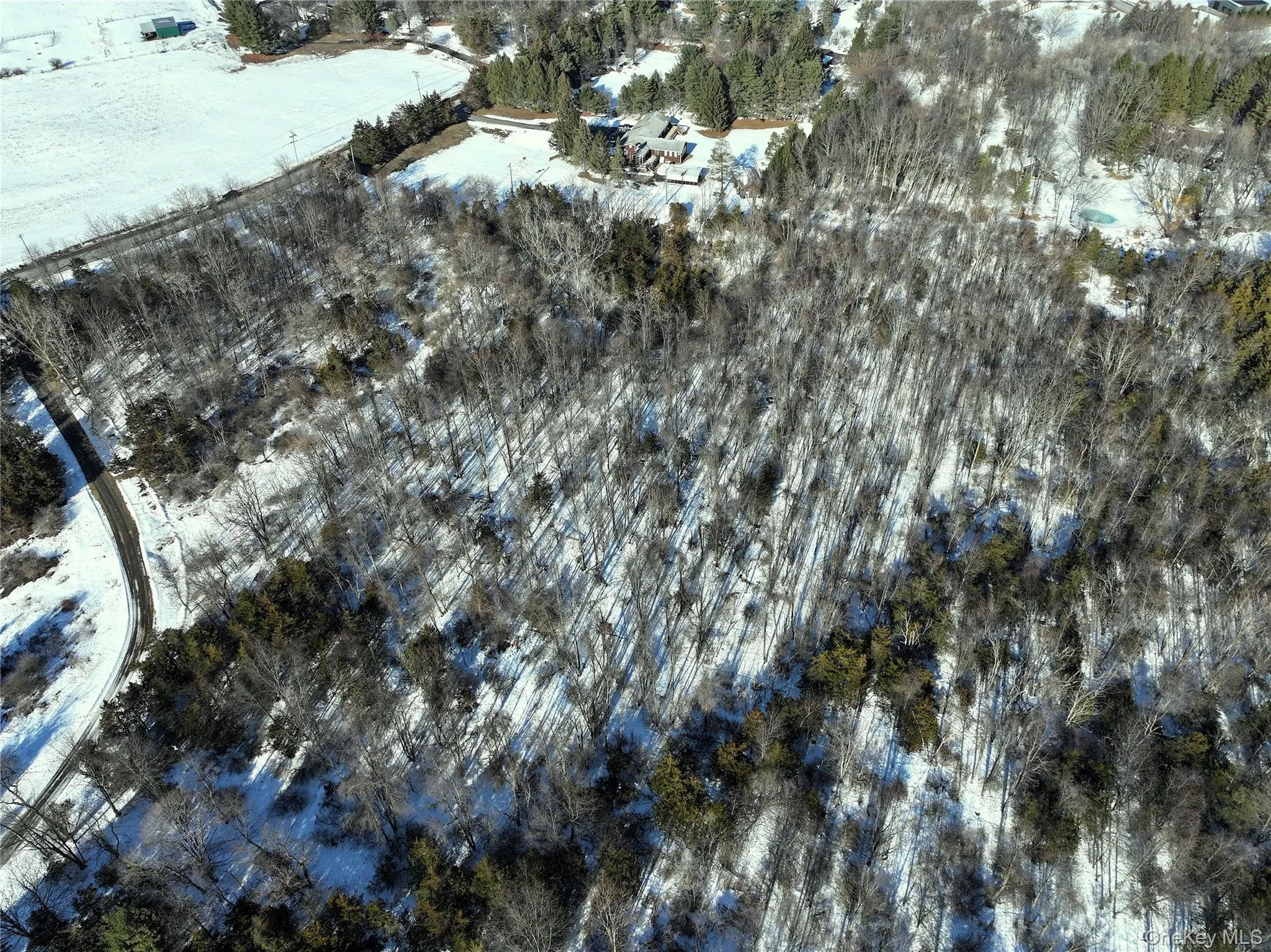Bells Pond Road, Livingston, NY, ,Land,For Rent,Bells Pond,0,964507 Bells Pond Road, Livingston, NY, ,Land,For Rent,Bells Pond,0,964507
