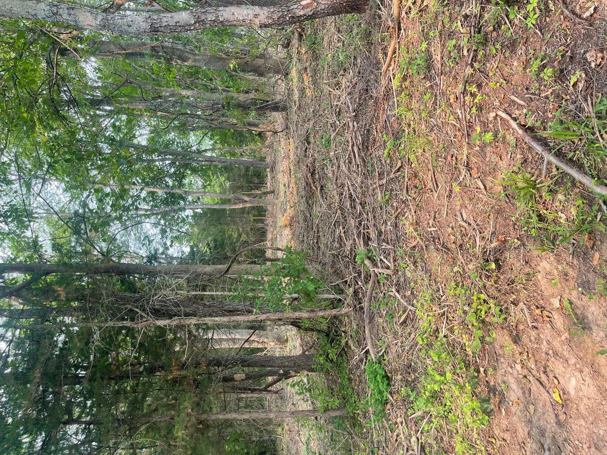 Bells Pond Road, Livingston, NY, ,Land,For Rent,Bells Pond,0,964507 Bells Pond Road, Livingston, NY, ,Land,For Rent,Bells Pond,0,964507