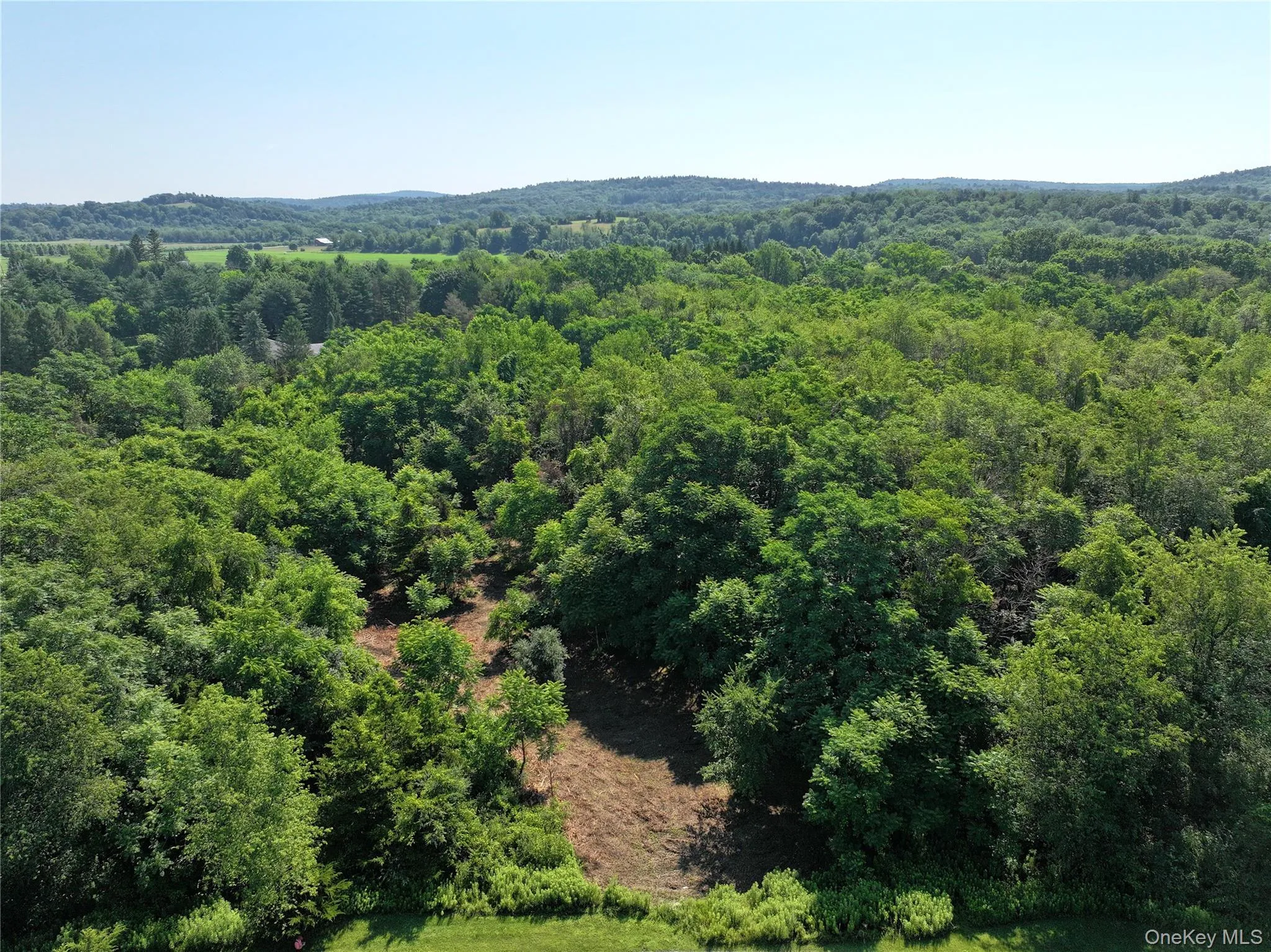 Bells Pond Road, Livingston, NY, ,Land,For Rent,Bells Pond,0,964507 Bells Pond Road, Livingston, NY, ,Land,For Rent,Bells Pond,0,964507