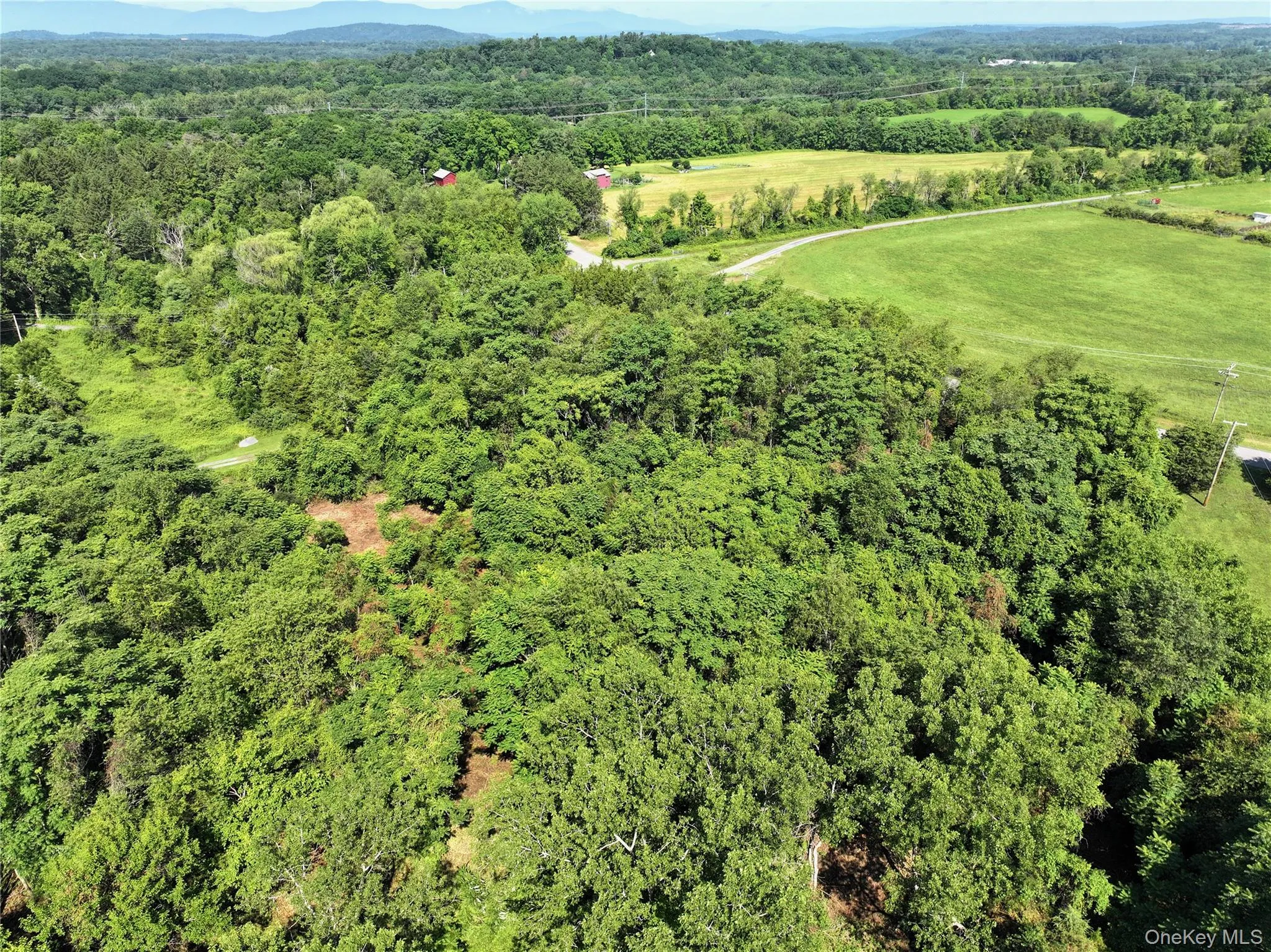 Bells Pond Road, Livingston, NY, ,Land,For Rent,Bells Pond,0,964507 Bells Pond Road, Livingston, NY, ,Land,For Rent,Bells Pond,0,964507