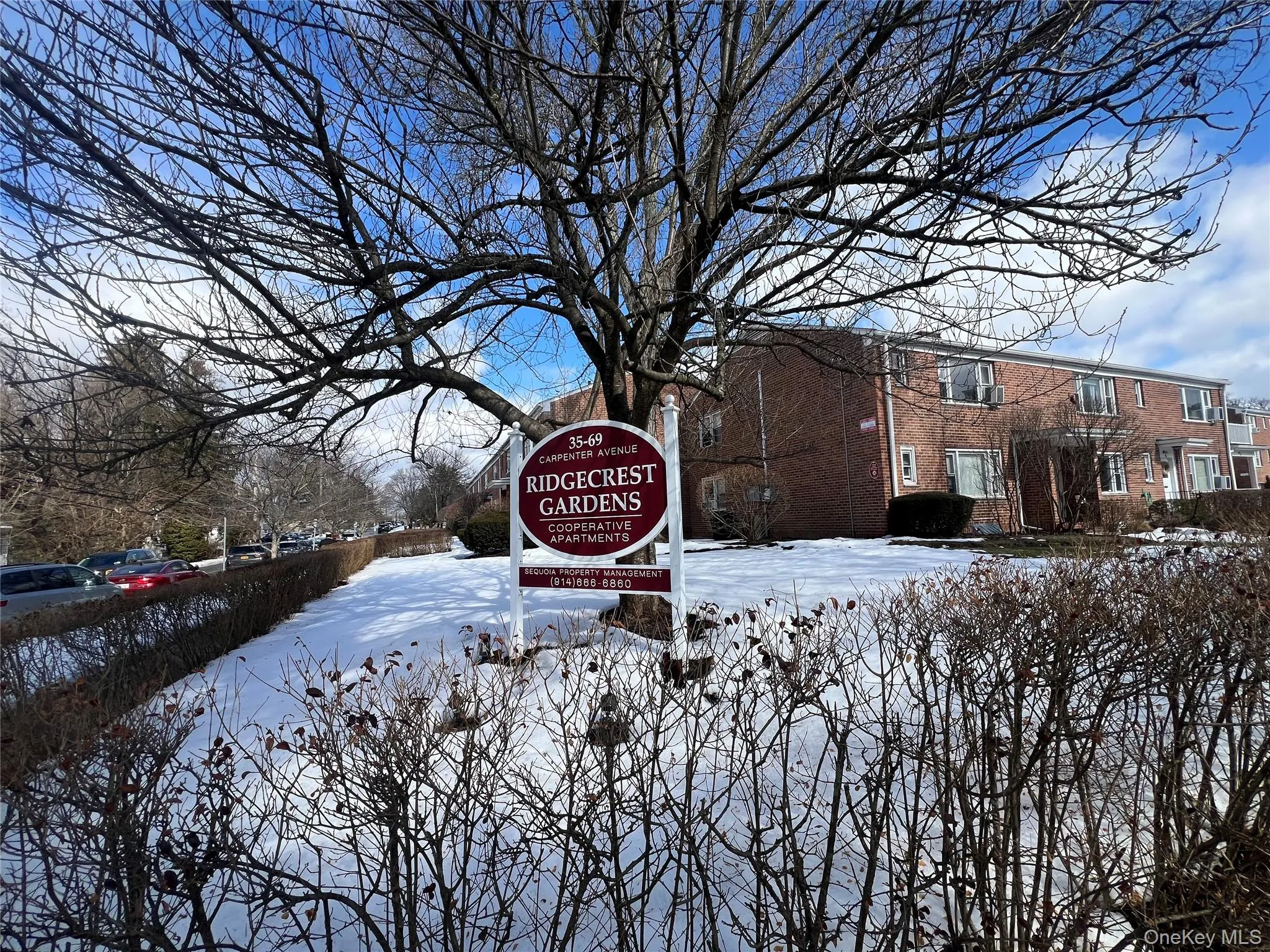 59 A Carpenter Avenue, Mount Kisco, NY, 2 Bedrooms Bedrooms, 3 Rooms Rooms,1 BathroomBathrooms,Residential Lease,For Rent,Carpenter,0,964583 59 A Carpenter Avenue, Mount Kisco, NY, 2 Bedrooms Bedrooms, 3 Rooms Rooms,1 BathroomBathrooms,Residential Lease,For Rent,Carpenter,0,964583