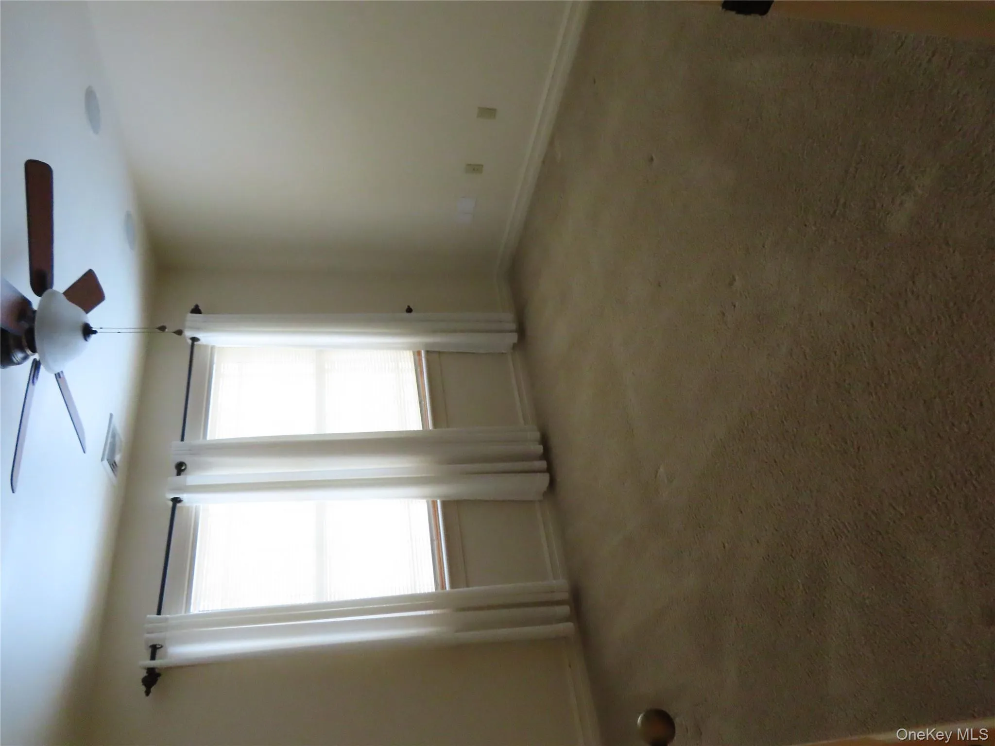 71 Railroad Avenue, Montgomery, NY, 3 Bedrooms Bedrooms, 7 Rooms Rooms,2 BathroomsBathrooms,Residential Lease,For Rent,Railroad,0,964709 71 Railroad Avenue, Montgomery, NY, 3 Bedrooms Bedrooms, 7 Rooms Rooms,2 BathroomsBathrooms,Residential Lease,For Rent,Railroad,0,964709