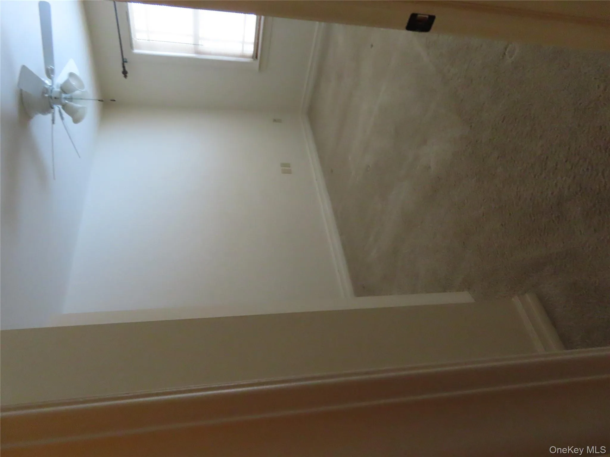 71 Railroad Avenue, Montgomery, NY, 3 Bedrooms Bedrooms, 7 Rooms Rooms,2 BathroomsBathrooms,Residential Lease,For Rent,Railroad,0,964709 71 Railroad Avenue, Montgomery, NY, 3 Bedrooms Bedrooms, 7 Rooms Rooms,2 BathroomsBathrooms,Residential Lease,For Rent,Railroad,0,964709