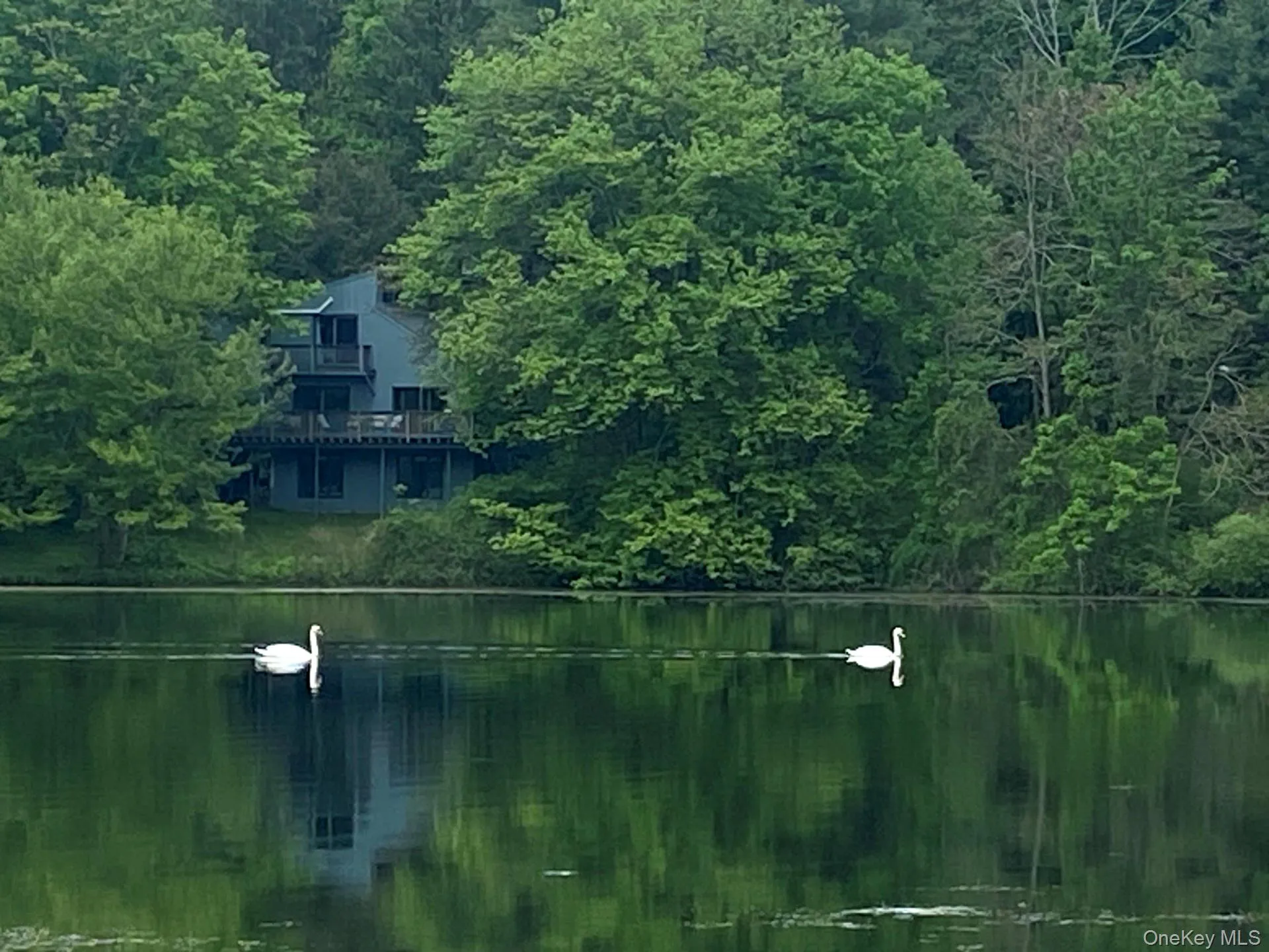 Full access to lake Full access to lake