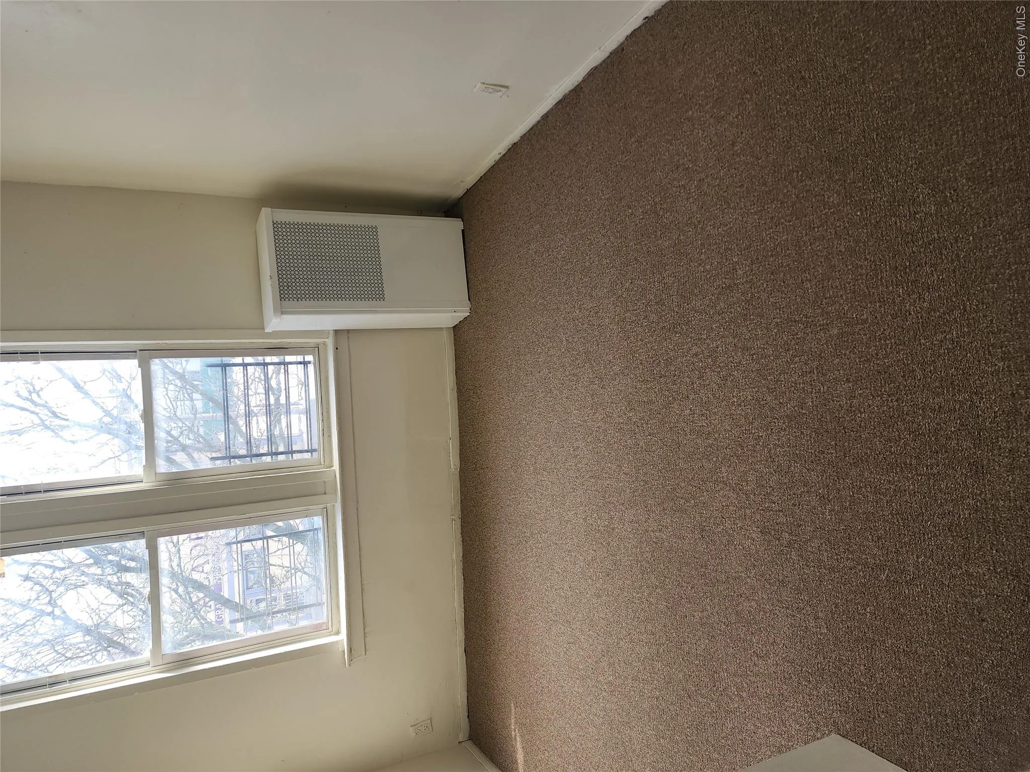 205-11 Hollis Avenue, New York, NY, 3 Bedrooms Bedrooms, 5 Rooms Rooms,1 BathroomBathrooms,Residential Lease,For Rent,Hollis,0,965285 205-11 Hollis Avenue, New York, NY, 3 Bedrooms Bedrooms, 5 Rooms Rooms,1 BathroomBathrooms,Residential Lease,For Rent,Hollis,0,965285