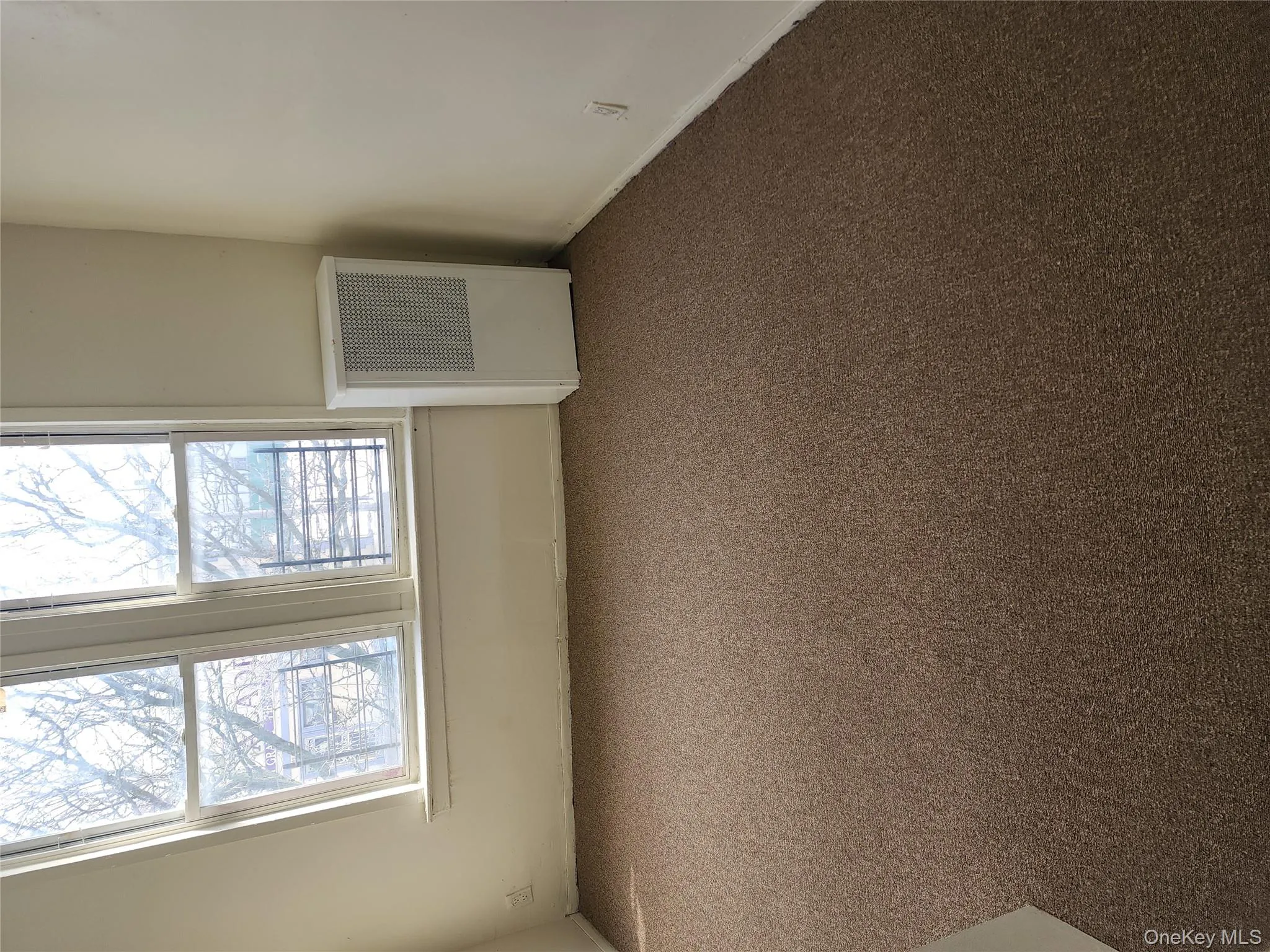 205-11 Hollis Avenue, New York, NY, 3 Bedrooms Bedrooms, 5 Rooms Rooms,1 BathroomBathrooms,Residential Lease,For Rent,Hollis,0,965285 205-11 Hollis Avenue, New York, NY, 3 Bedrooms Bedrooms, 5 Rooms Rooms,1 BathroomBathrooms,Residential Lease,For Rent,Hollis,0,965285