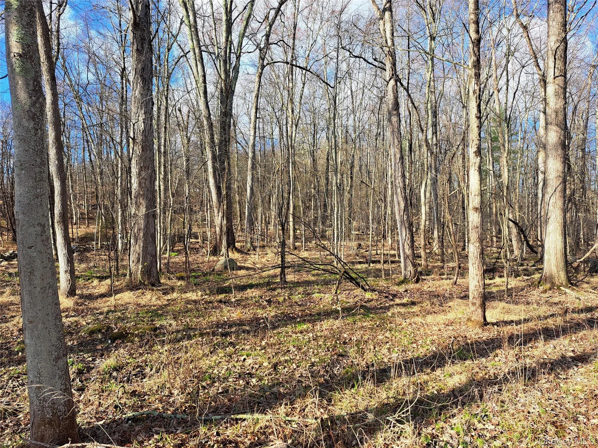 Van Burenville Road, Wallkill, NY, ,Land,For Rent,Van Burenville,0,965294 Van Burenville Road, Wallkill, NY, ,Land,For Rent,Van Burenville,0,965294