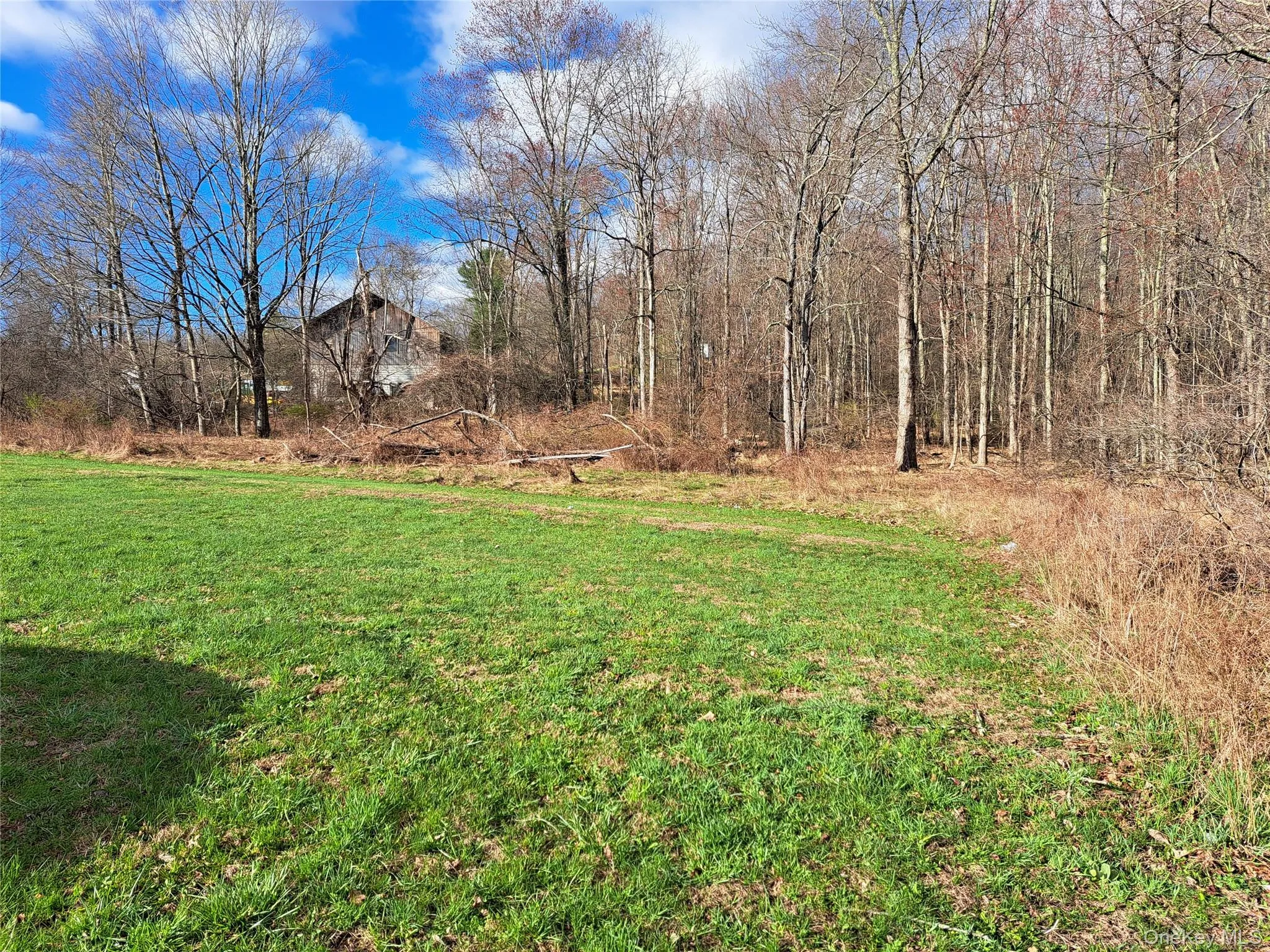 Van Burenville Road, Wallkill, NY, ,Land,For Rent,Van Burenville,0,965294 Van Burenville Road, Wallkill, NY, ,Land,For Rent,Van Burenville,0,965294