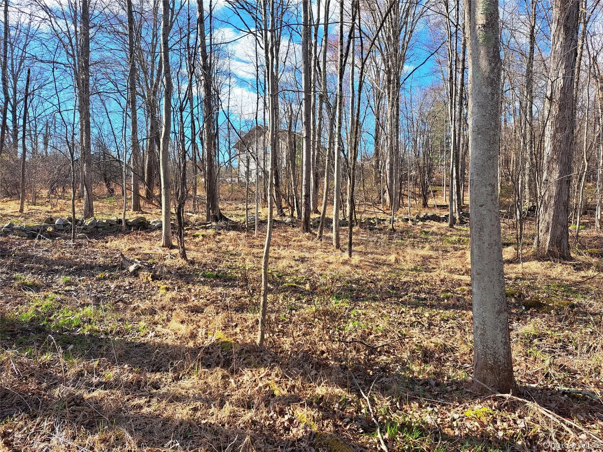 Van Burenville Road, Wallkill, NY, ,Land,For Rent,Van Burenville,0,965294 Van Burenville Road, Wallkill, NY, ,Land,For Rent,Van Burenville,0,965294