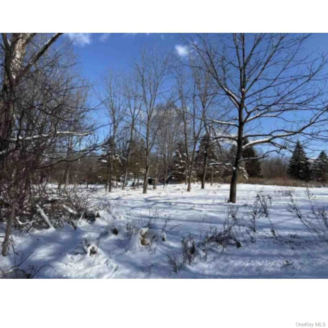 Van Burenville Road, Wallkill, NY, ,Land,For Rent,Van Burenville,0,965294 Van Burenville Road, Wallkill, NY, ,Land,For Rent,Van Burenville,0,965294
